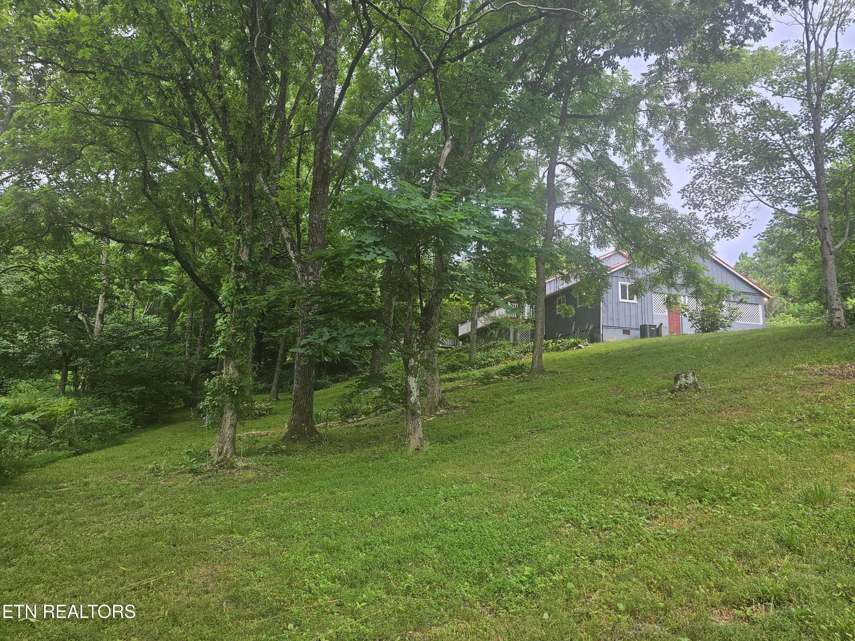 20260618_175707 - 925 Tweed Springs Rd, Greeneville, TN 37743