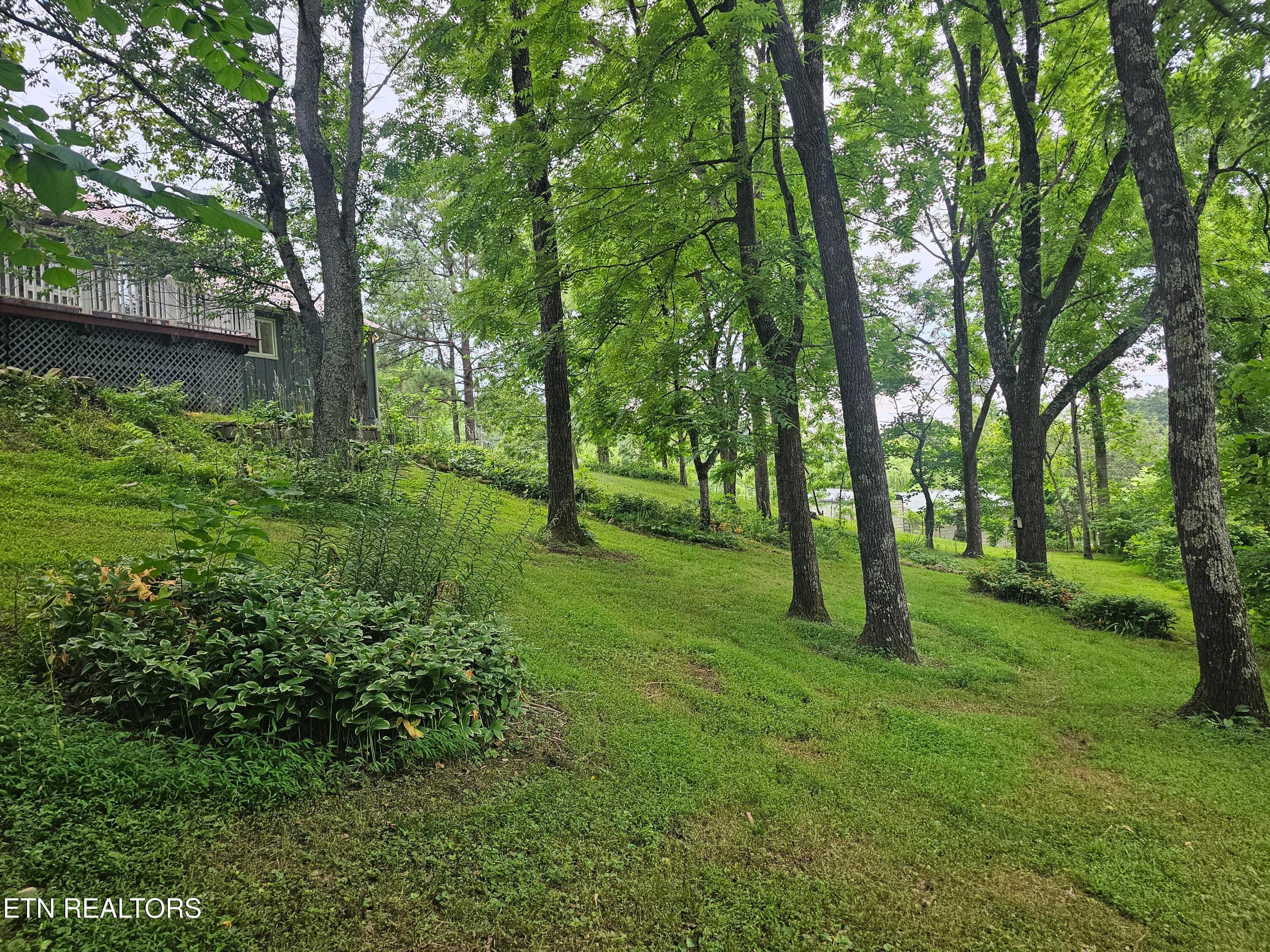 20260618_175812 - 925 Tweed Springs Rd, Greeneville, TN 37743