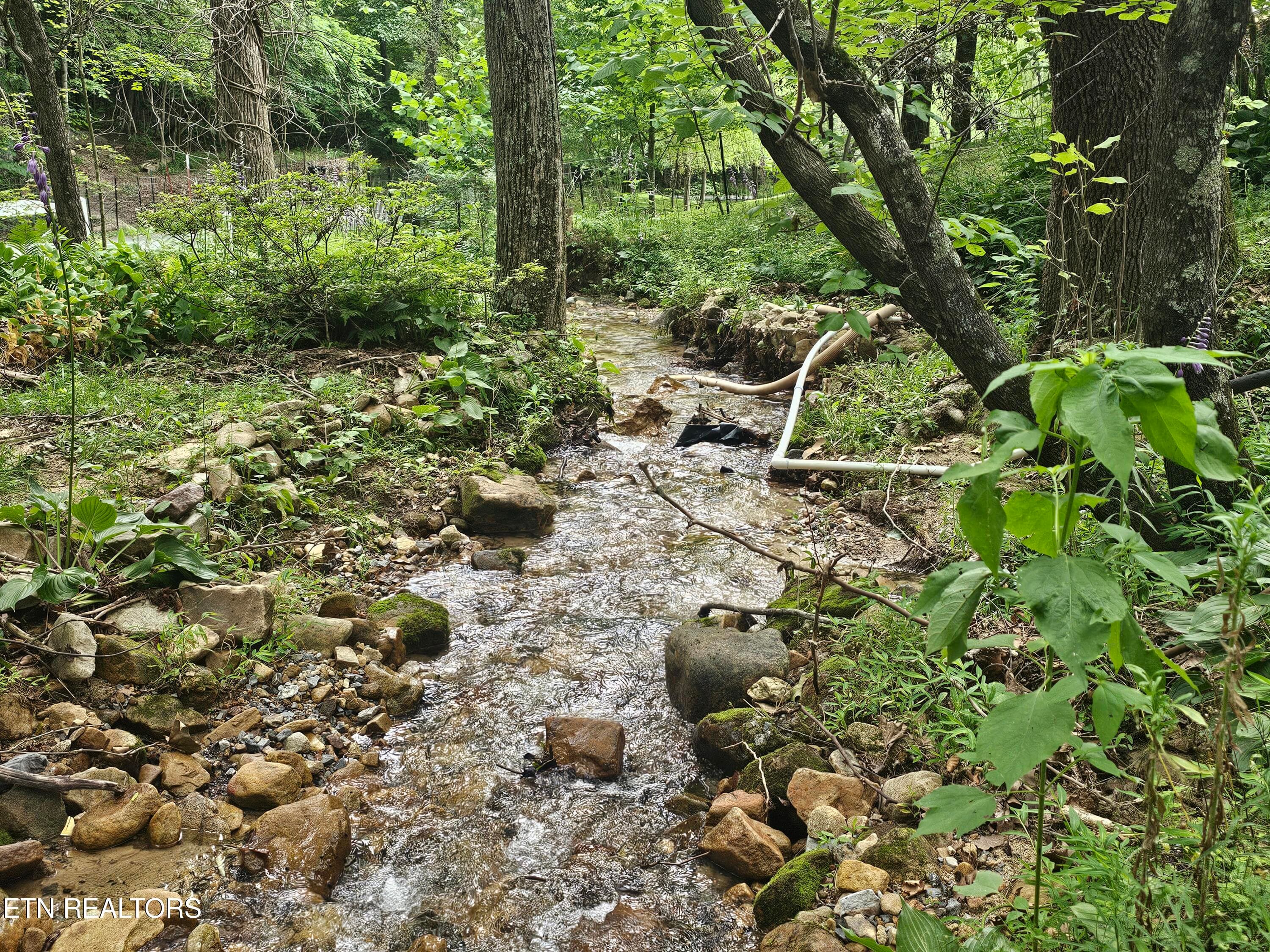 20260618_180020 - 925 Tweed Springs Rd, Greeneville, TN 37743
