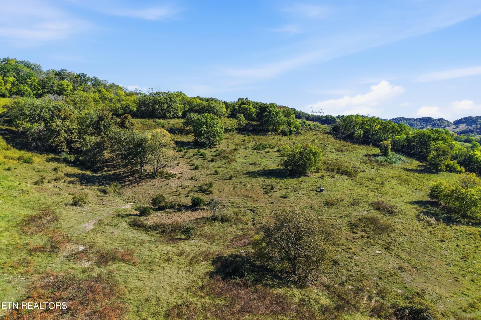 UNRESTRICTED ACREAGE - 00 Sullivans Bend Rd, Elmwood, TN 38560