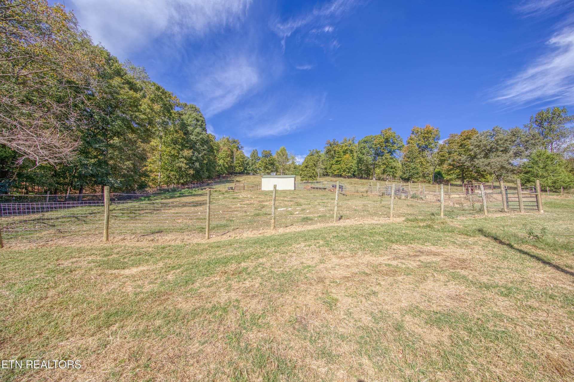 0H3A8139_36 - 612 County Road 110, Athens, TN 37303