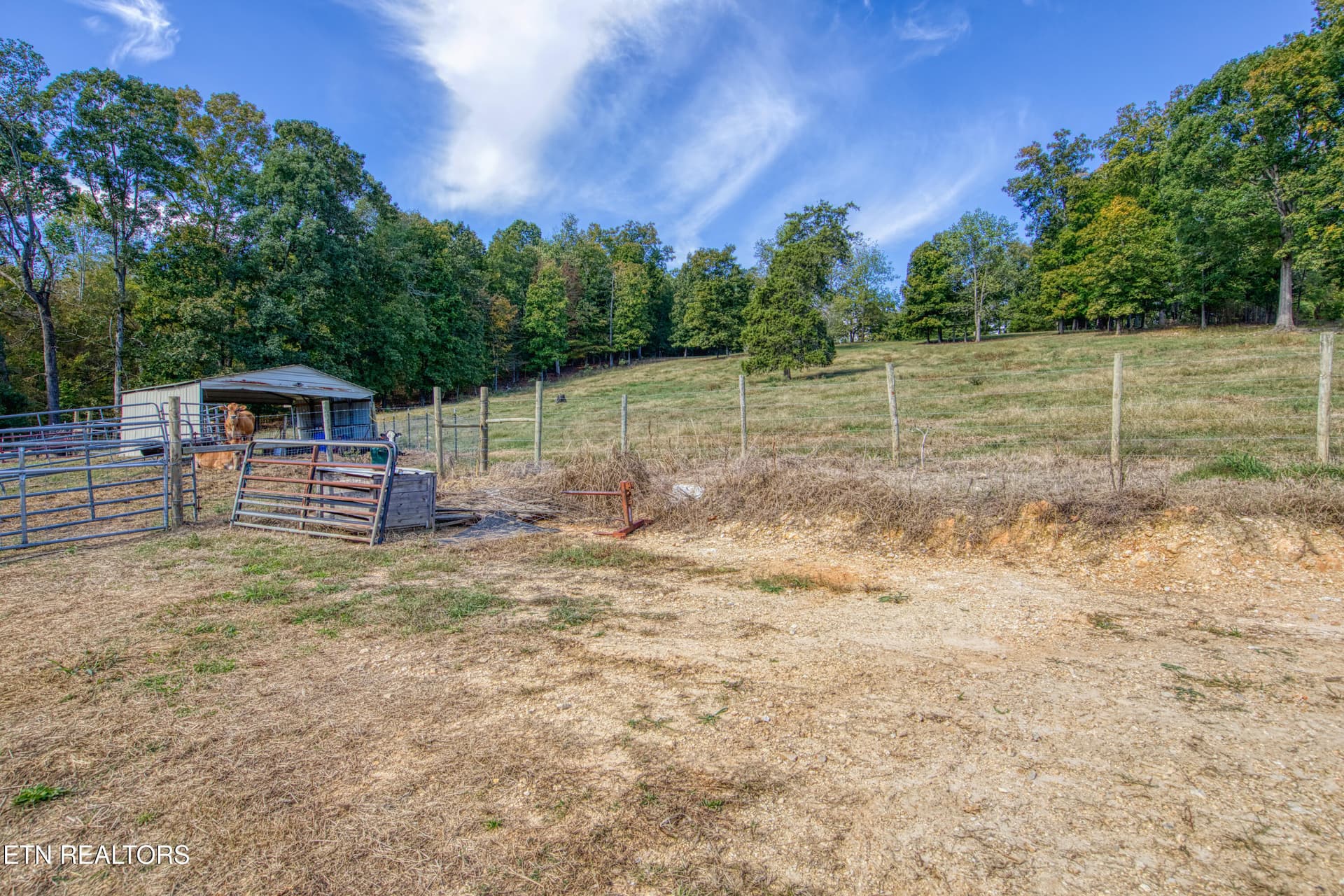 0H3A8127_30 - 612 County Road 110, Athens, TN 37303