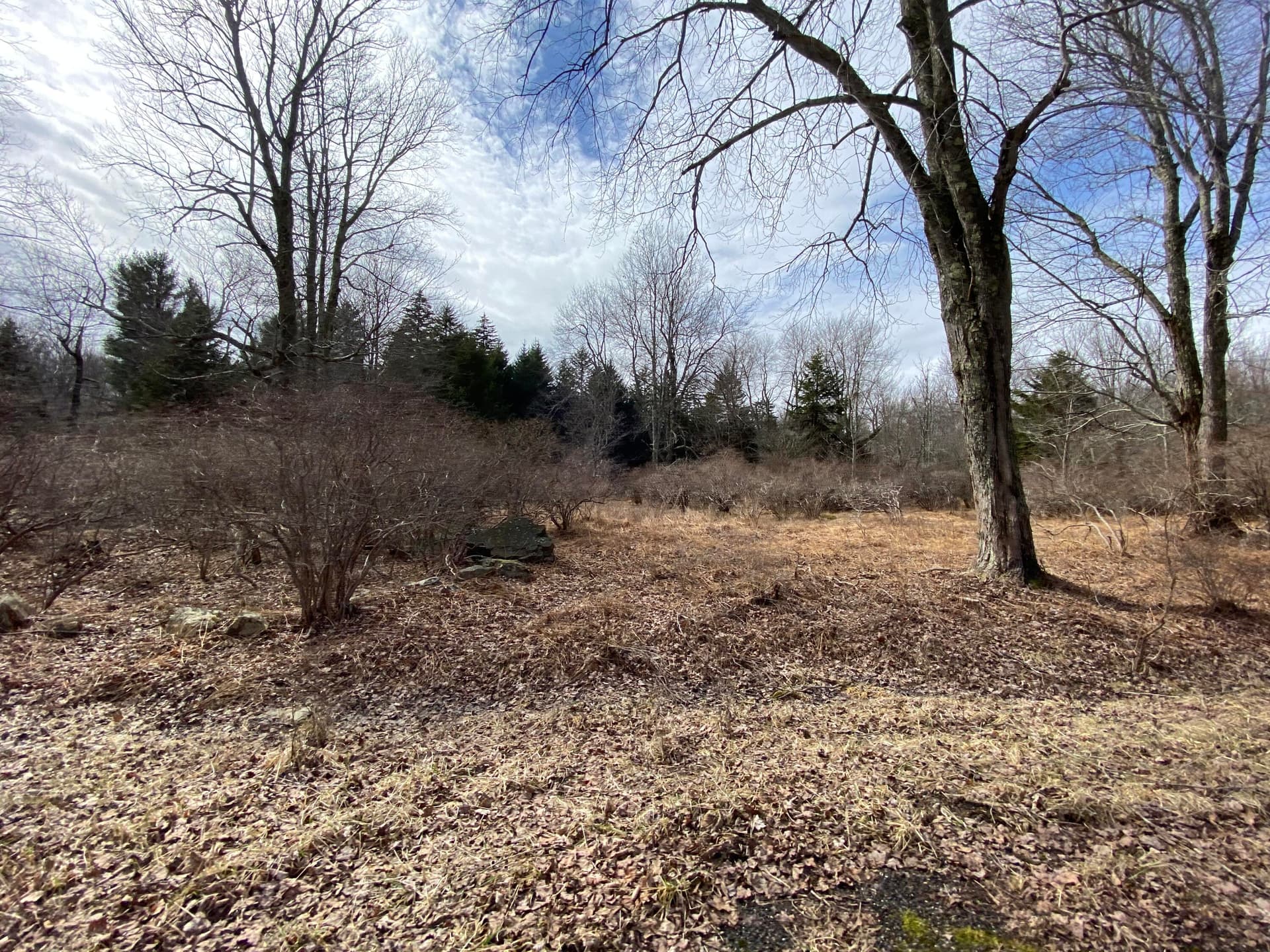 906 Wadi Road W, Pocono Lake, PA 18347