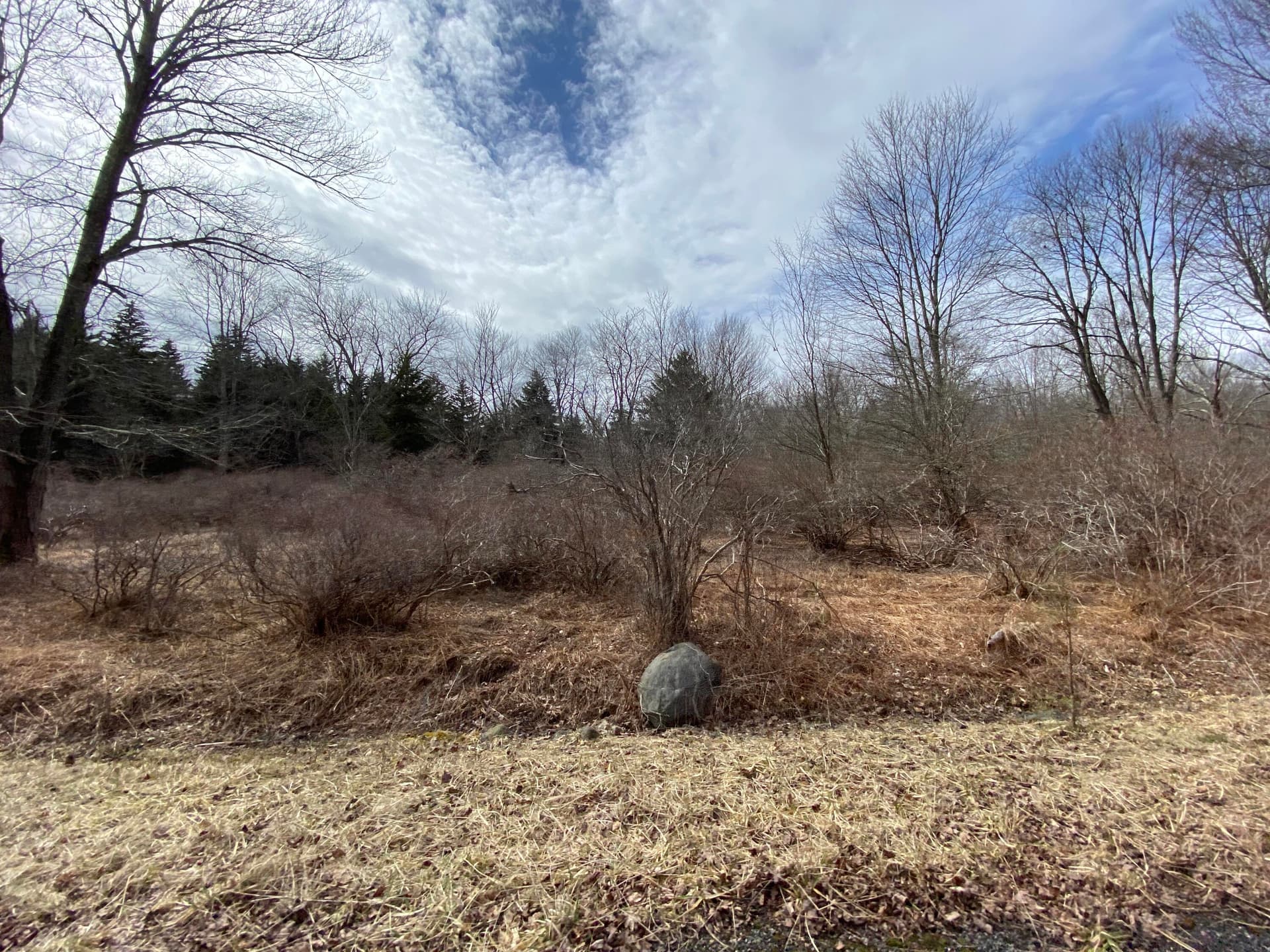 IMG_7300 - 910 Wadi Road W, Pocono Lake, PA 18347