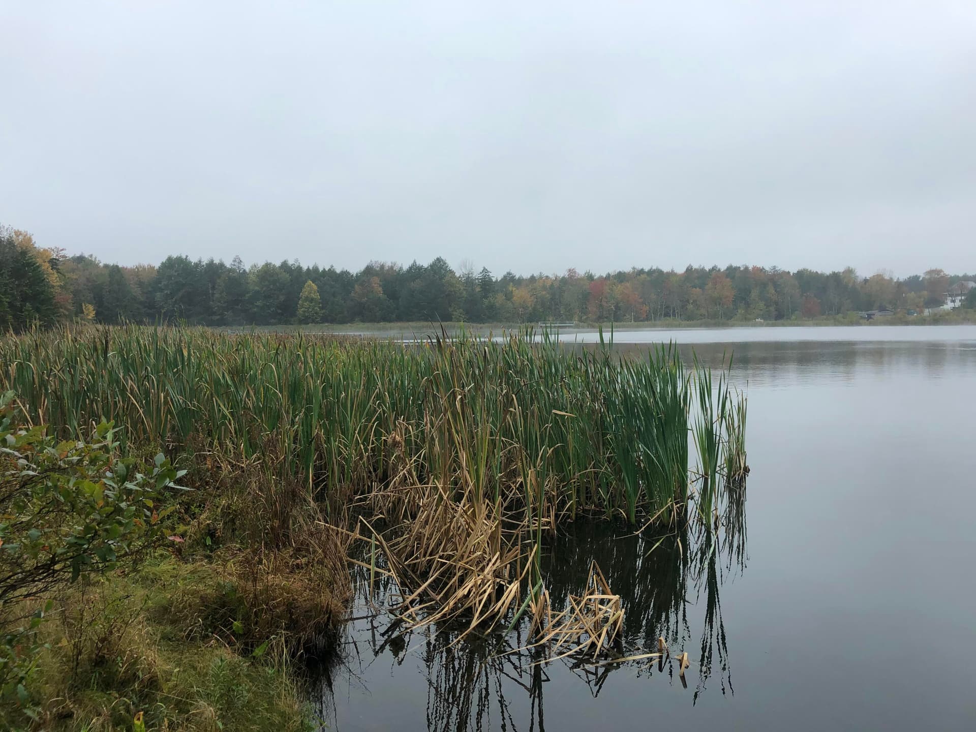 IMG_1443 - 910 Wadi Road W, Pocono Lake, PA 18347