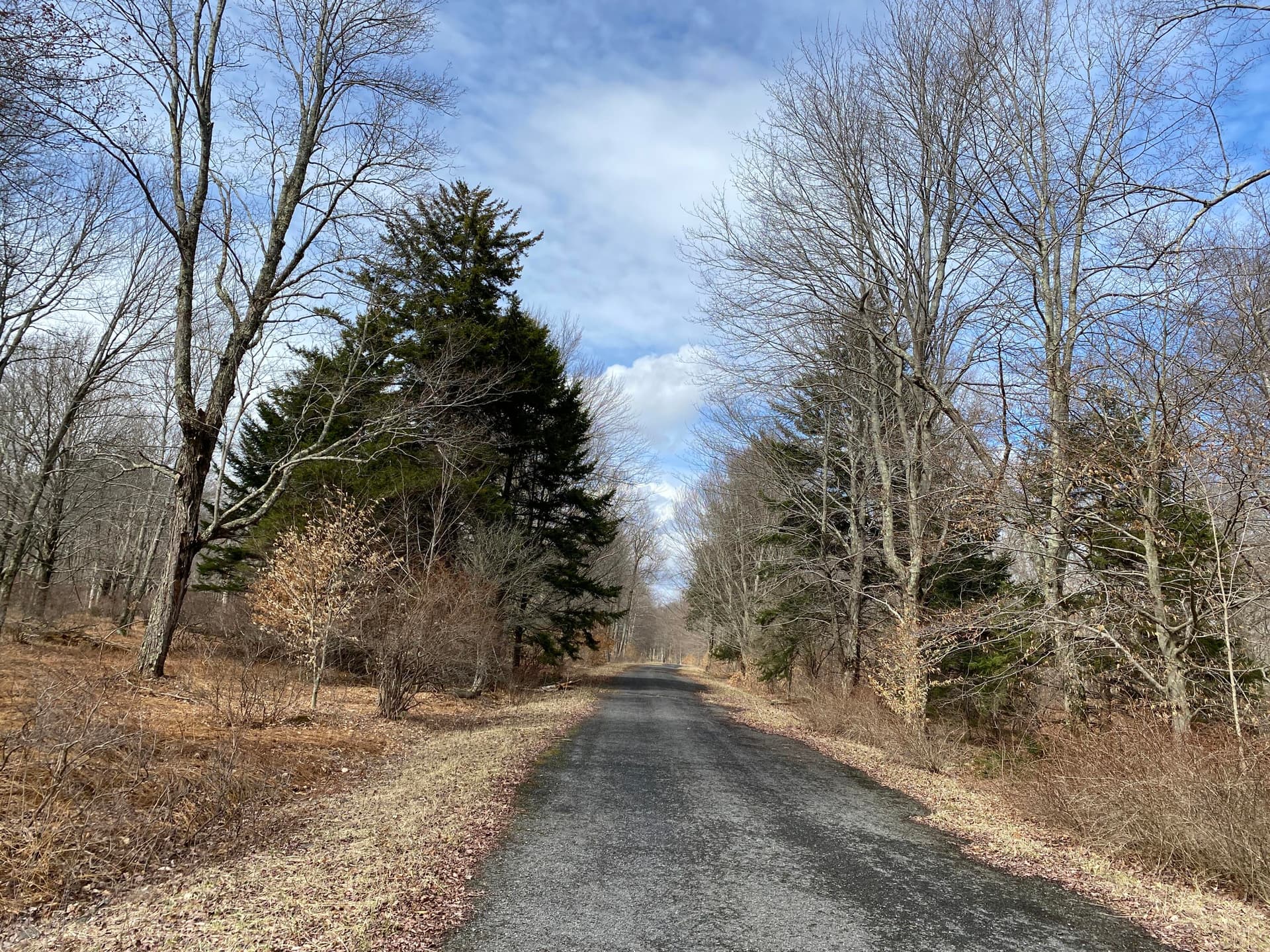 IMG_7302 - 910 Wadi Road W, Pocono Lake, PA 18347