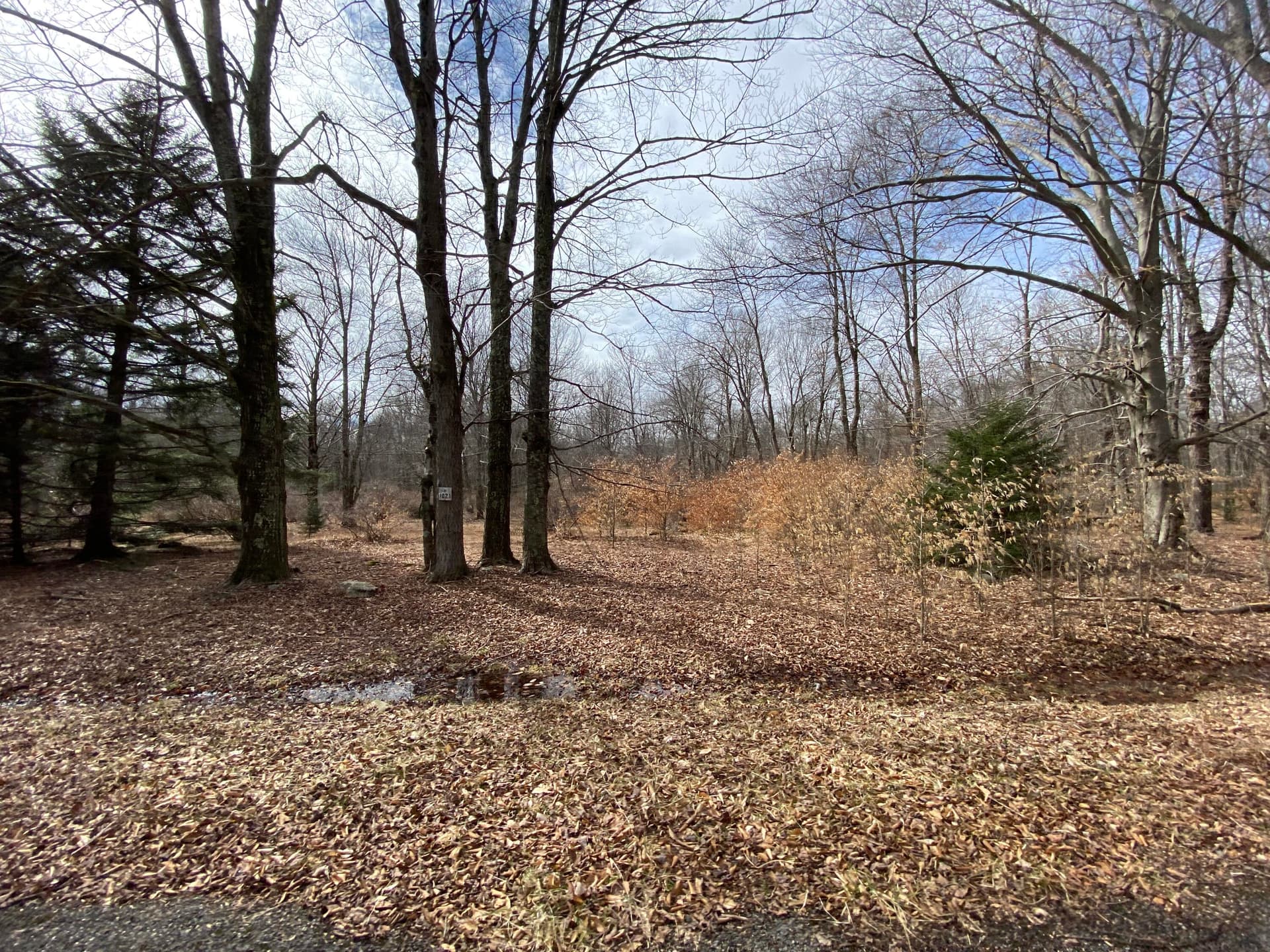 IMG_7315 - 910 Wadi Road W, Pocono Lake, PA 18347