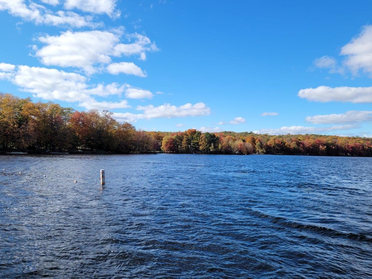 BIG BASS LAKE - 729 Sheffick Drive, Clifton Township, PA 18424, Clifton Township