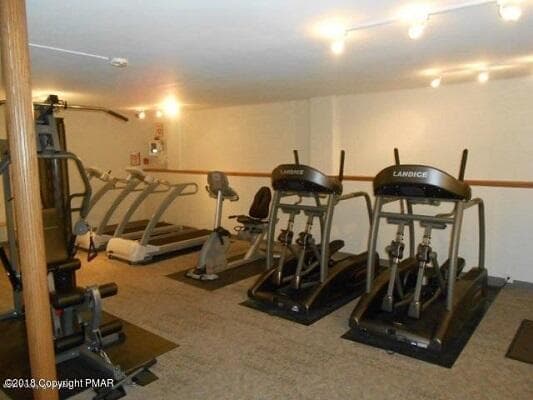 GYM - 729 Sheffick Drive, Clifton Township, PA 18424, Clifton Township