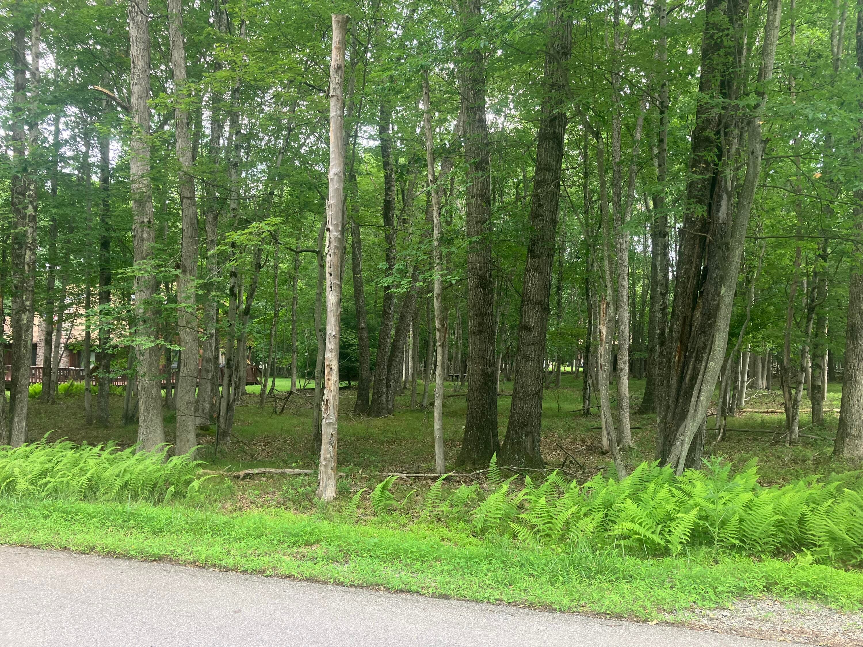 Street View - Elliot Lane, Albrightsville, PA 18210, Albrightsville