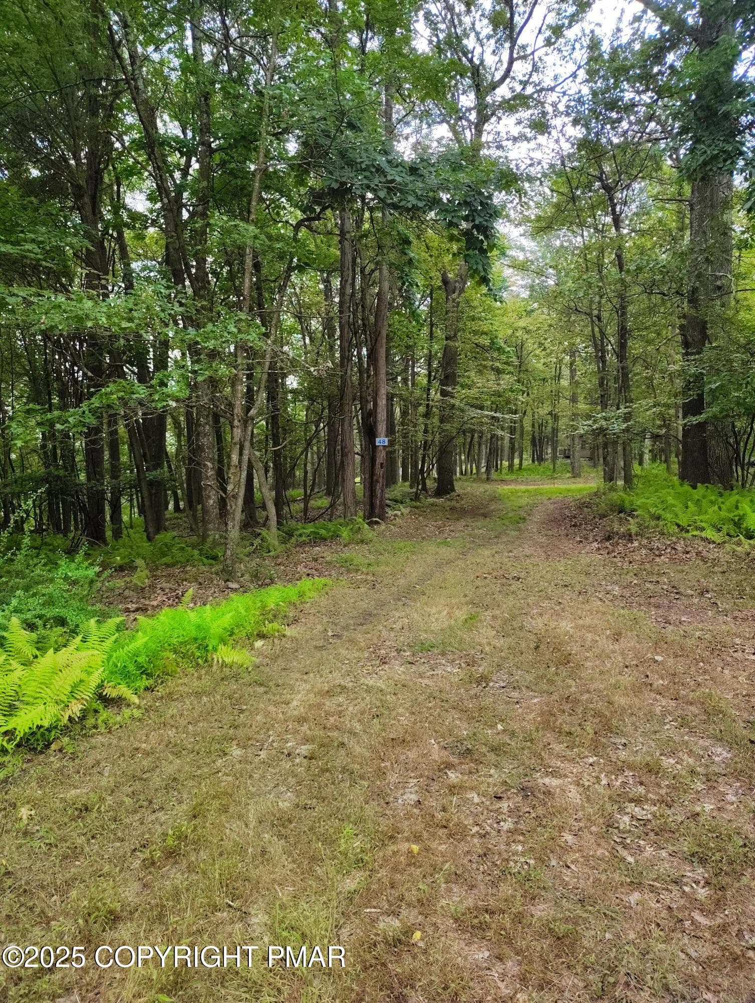 IMG_20250815_161403459 - lot 48 Mountain Terrace, White Haven, PA 18661, White Haven