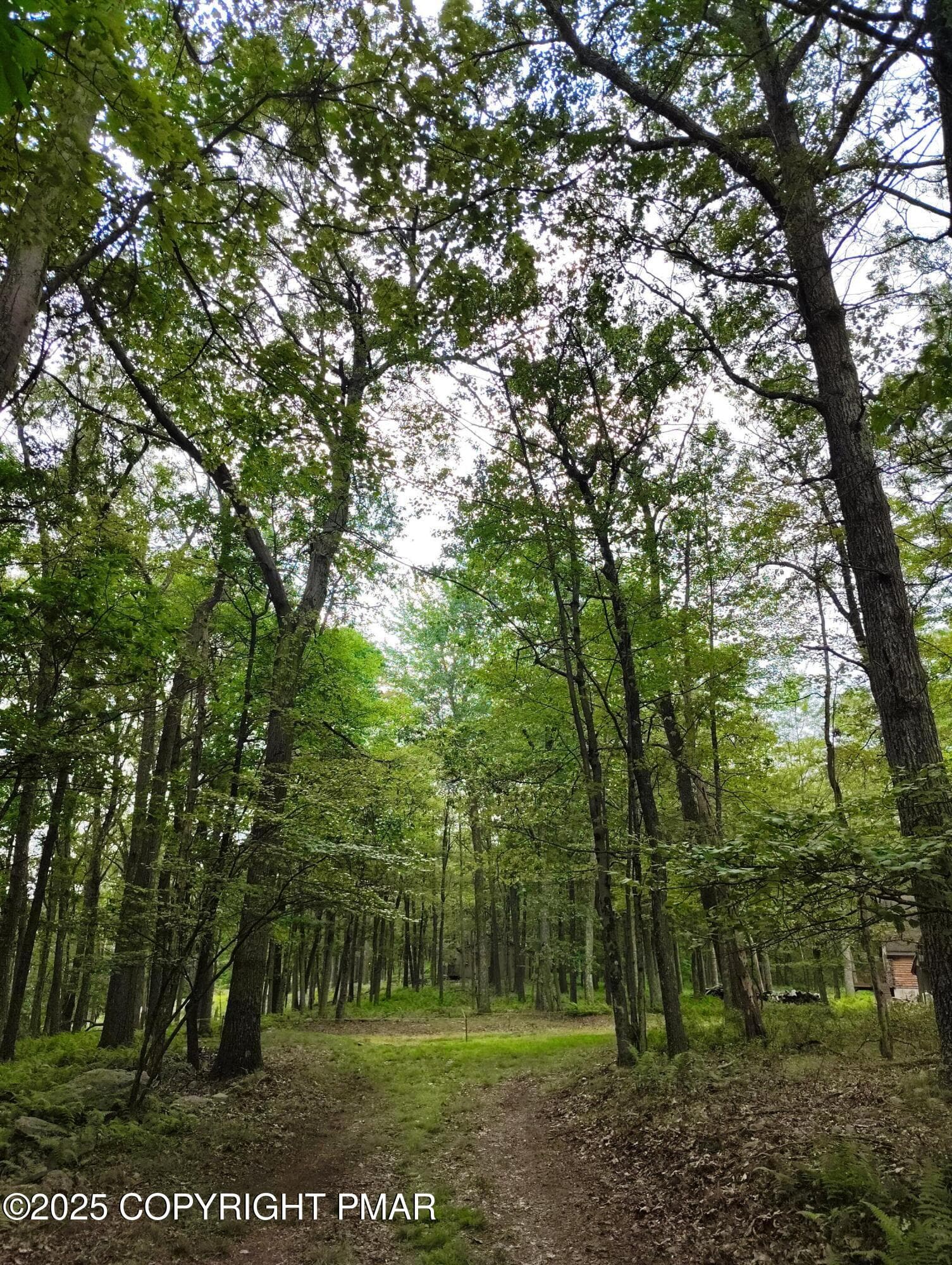 IMG_20250815_161316779 - lot 48 Mountain Terrace, White Haven, PA 18661, White Haven