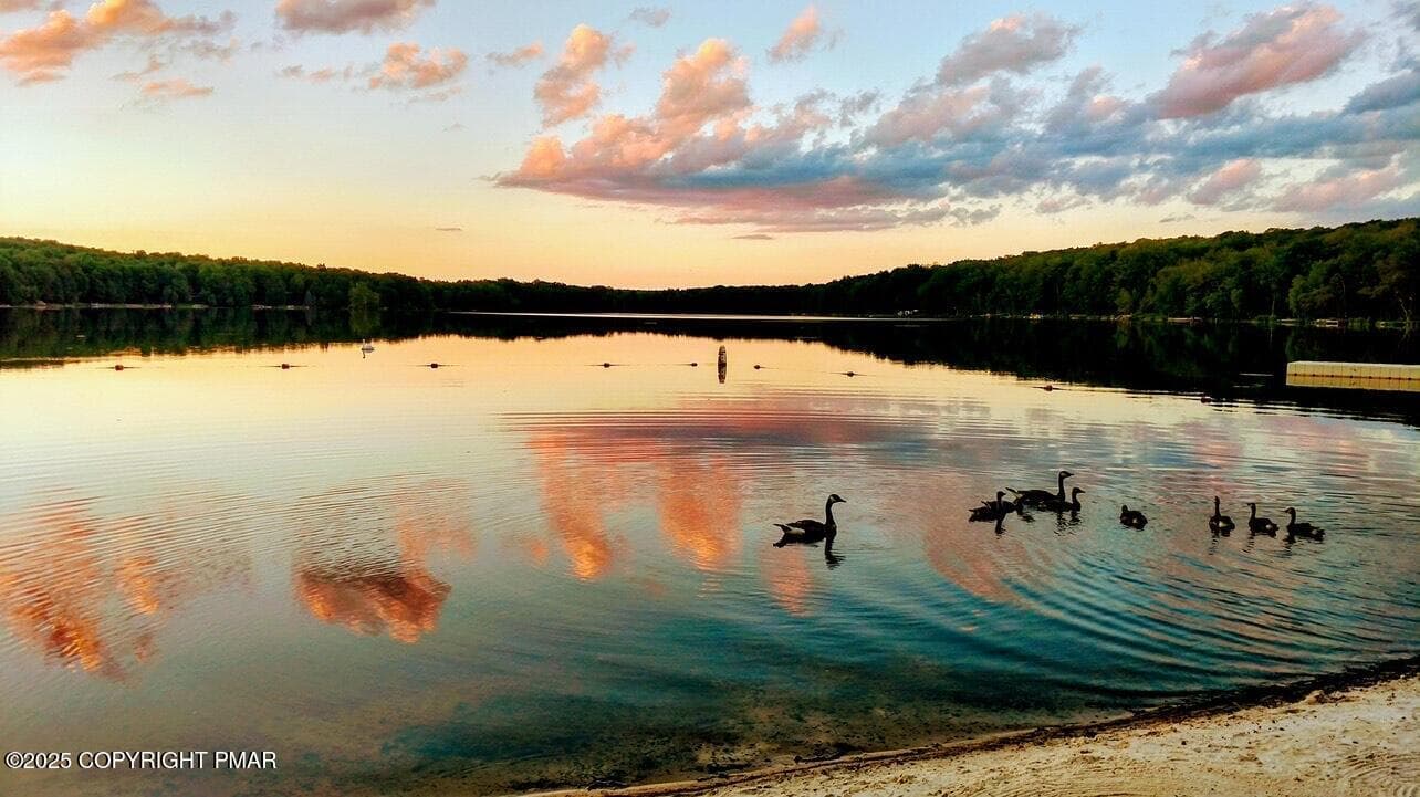 Big Bass Lake - 2727 Theta Drive, Clifton Township, PA 18424, Clifton Township