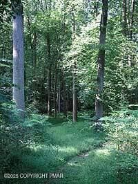 things_to_do-hiking - 126-128 E Broad Street, Tamaqua, PA 18252, Tamaqua