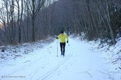 skier-250x166 - 126-128 E Broad Street, Tamaqua, PA 18252, Tamaqua