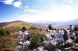 things_to_do-birding - 126-128 E Broad Street, Tamaqua, PA 18252, Tamaqua