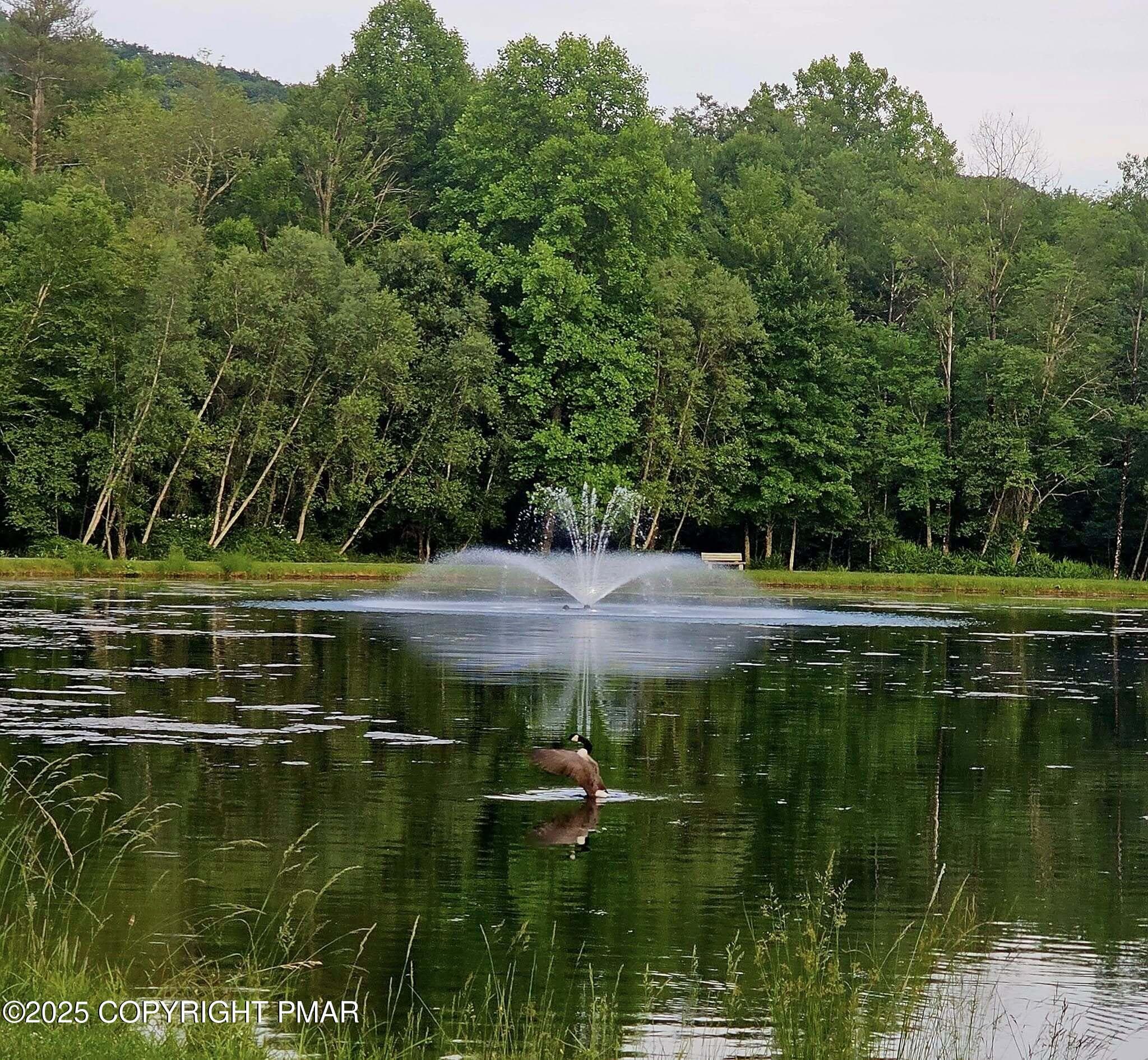 11 Pond - 1142 Yorkshire Lane, Bushkill, PA 18324, Bushkill