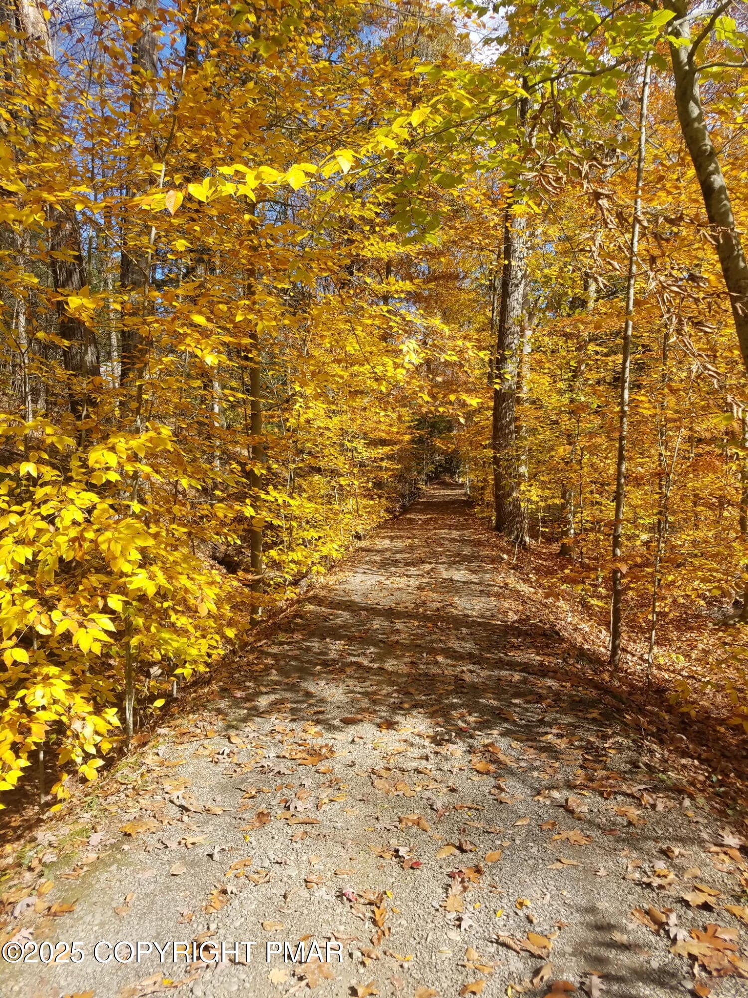 Golden Path - 1341 Beaver Valley Road, Stroudsburg, PA 18360, Stroudsburg