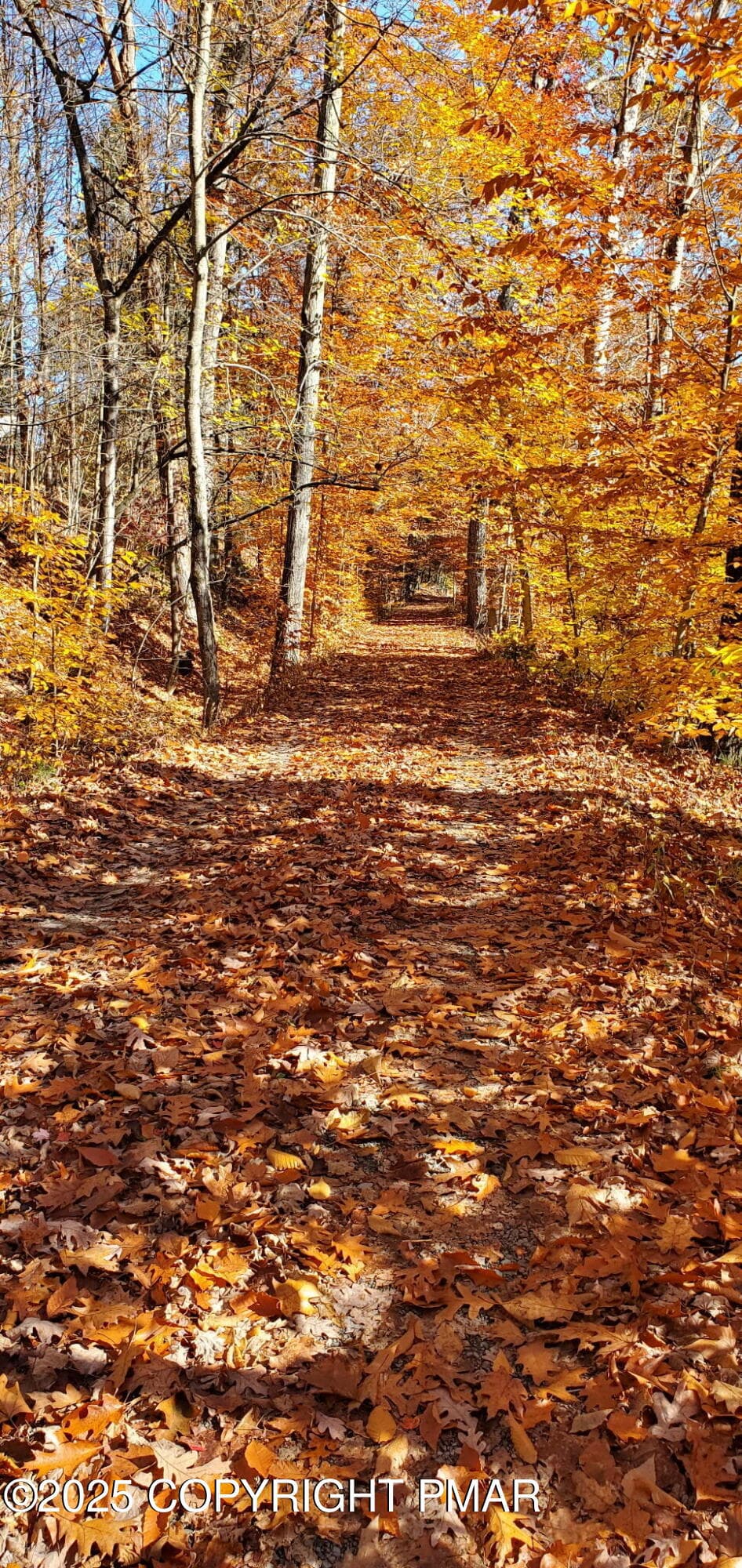 Golden Path 2 - 1341 Beaver Valley Road, Stroudsburg, PA 18360, Stroudsburg