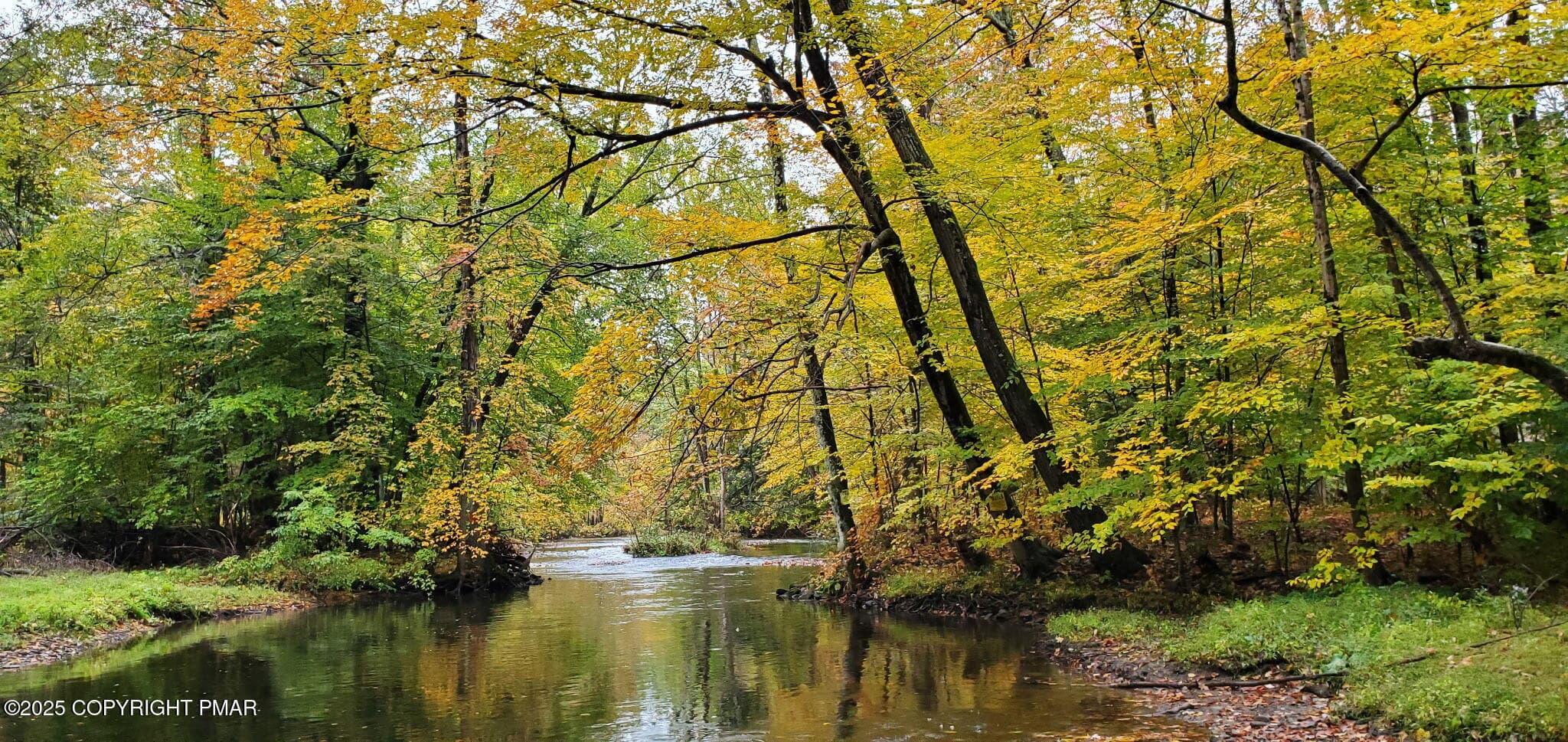 Stream-Fall - 1341 Beaver Valley Road, Stroudsburg, PA 18360, Stroudsburg