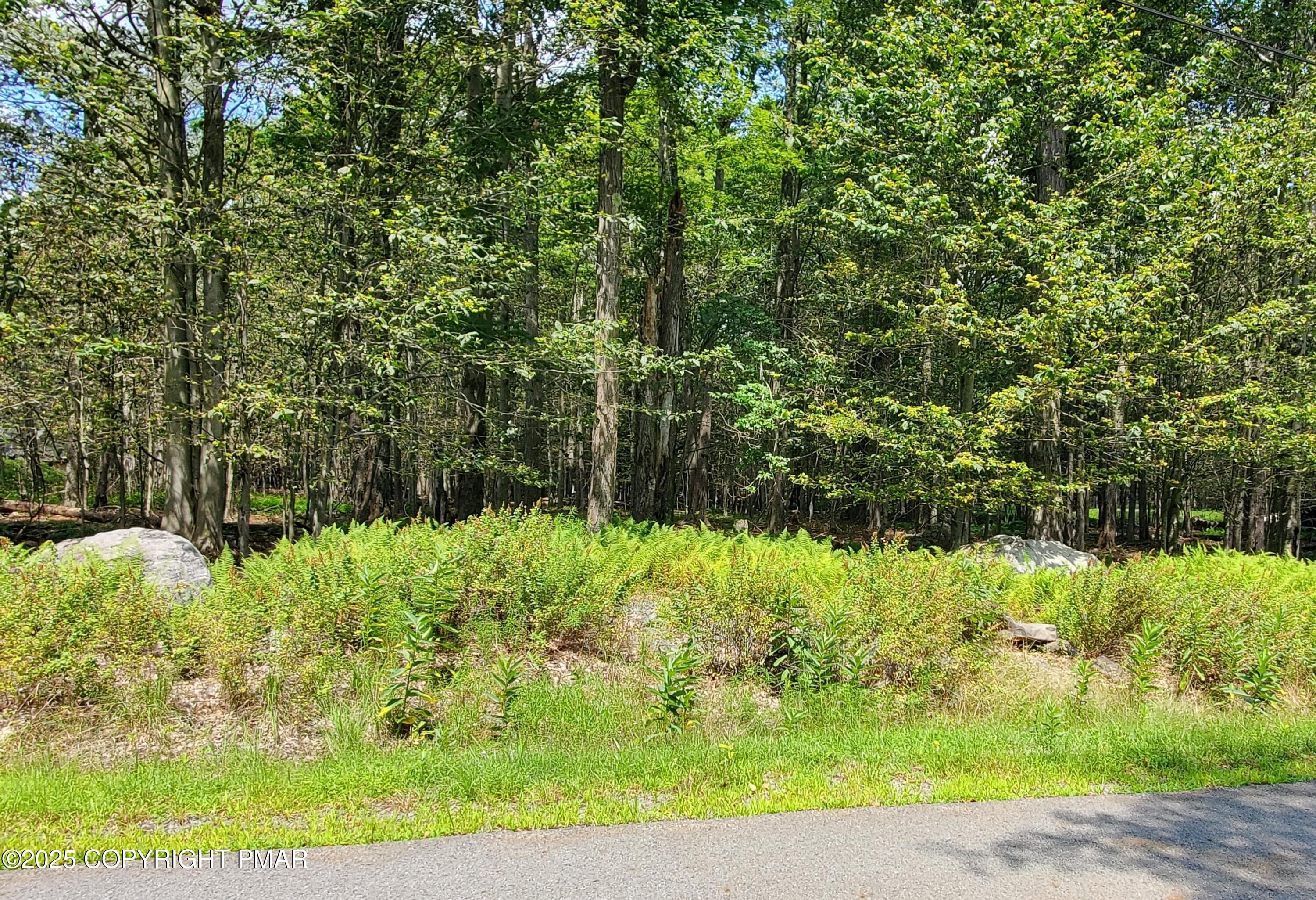 Y2801 Theta Dr pic #2 - Y2801 Theta Drive, Clifton Township, PA 18424, Clifton Township