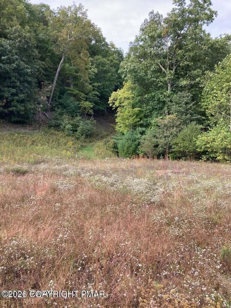 20251216181856251303000000-o - Lot 67 Highland Avenue, Milford, PA 18337, Milford