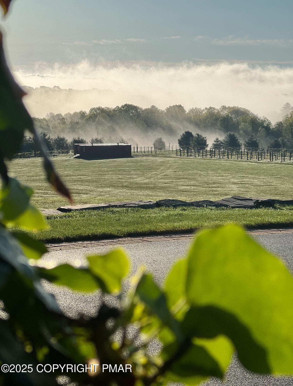 Vineyard - 1212 Burger Hollow Road, Effort, PA 18330, Effort