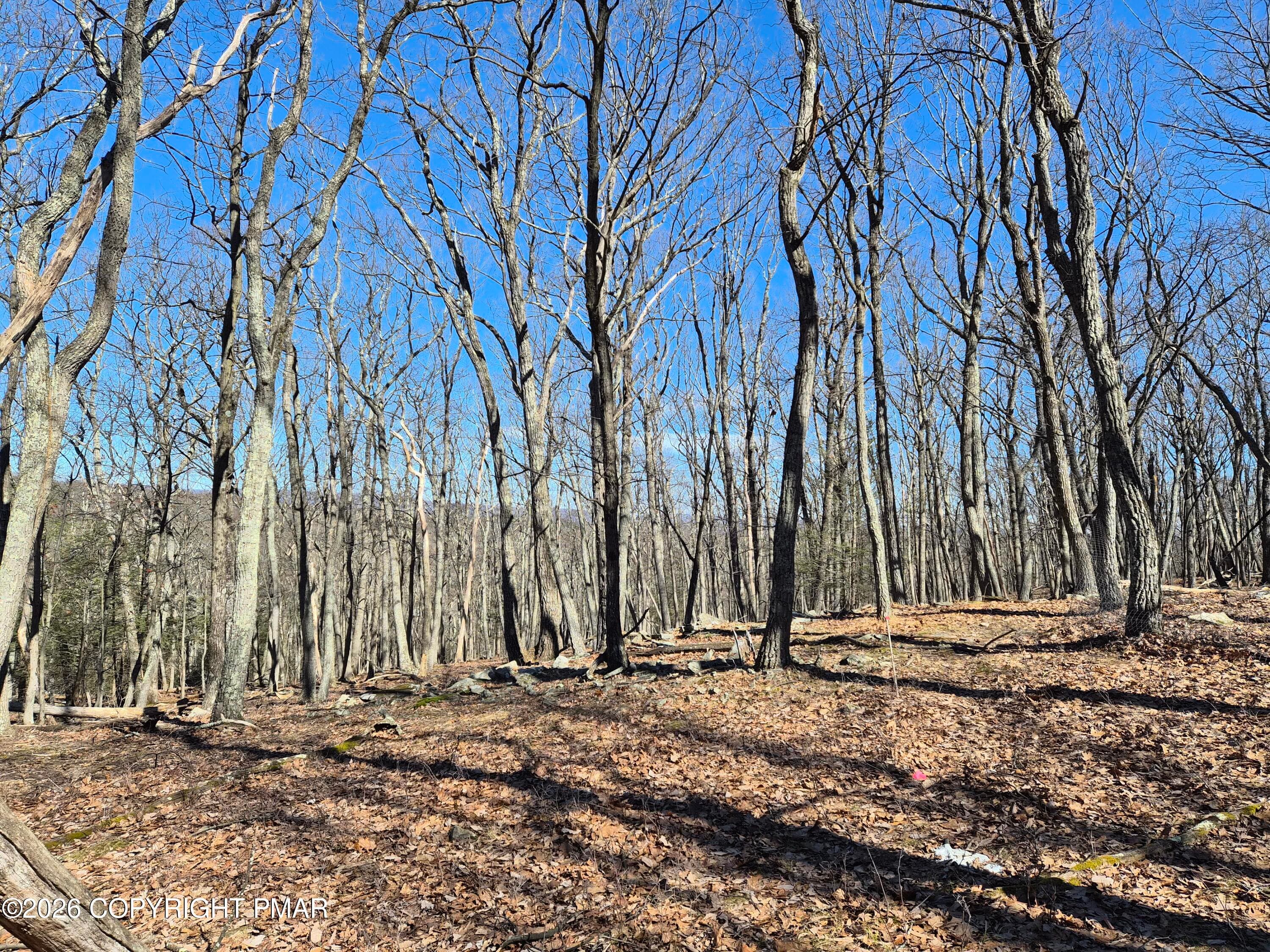 11 Sunlight - Sunlight Dr 11, Henryville, PA 18332, Henryville