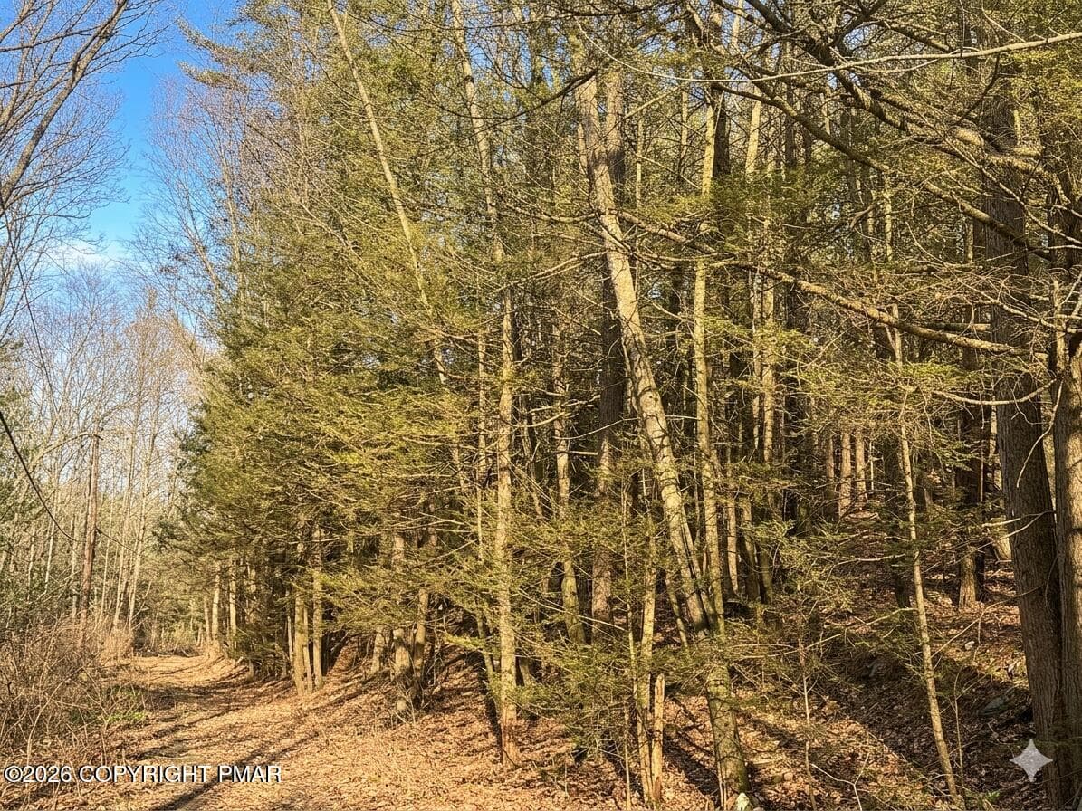 155 Merry Hill Road, Bartonsville, PA 18321