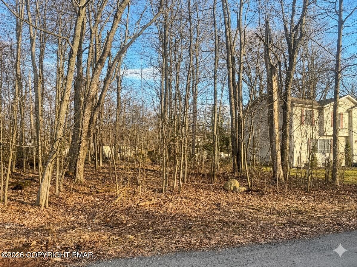 Gemini_Generated_Image_k41sf1k41sf1k41s - 2124 Birchwood Blvd # 4236, Pocono Summit, PA 18346