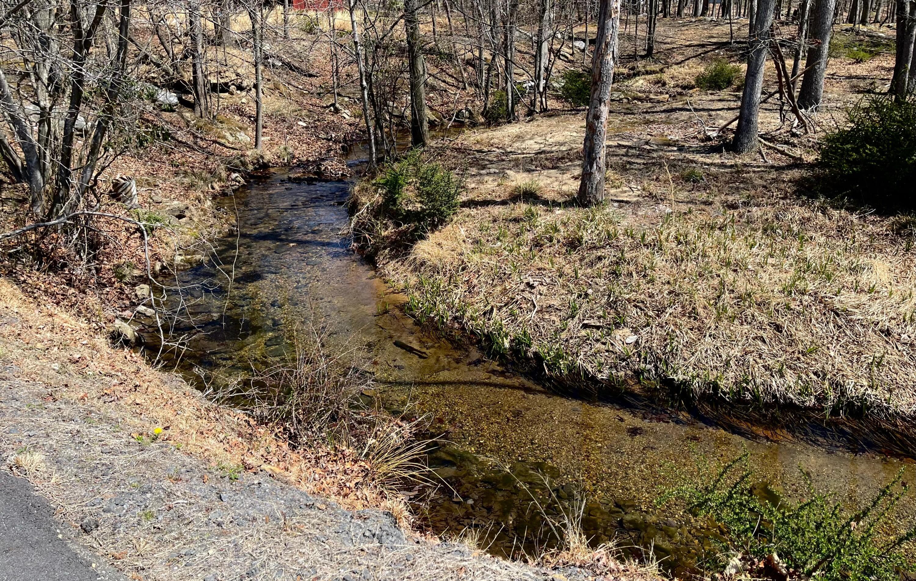 Stream at The Beach - 8 Kickapoo Drive, Hazle Township, PA 18202, Hazle Township