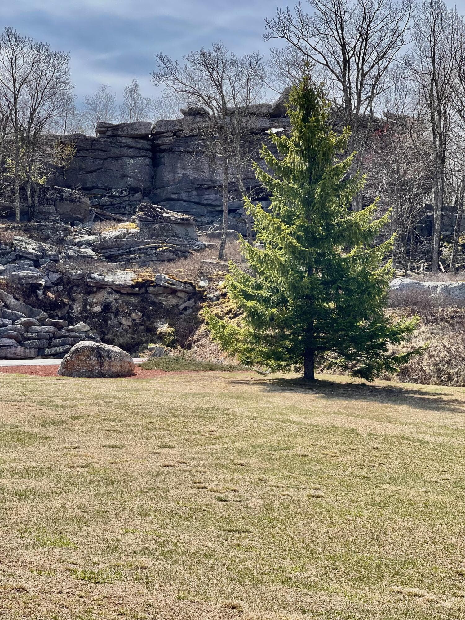 IMG_E8121 - 8 Kickapoo Drive, Hazle Township, PA 18202, Hazle Township