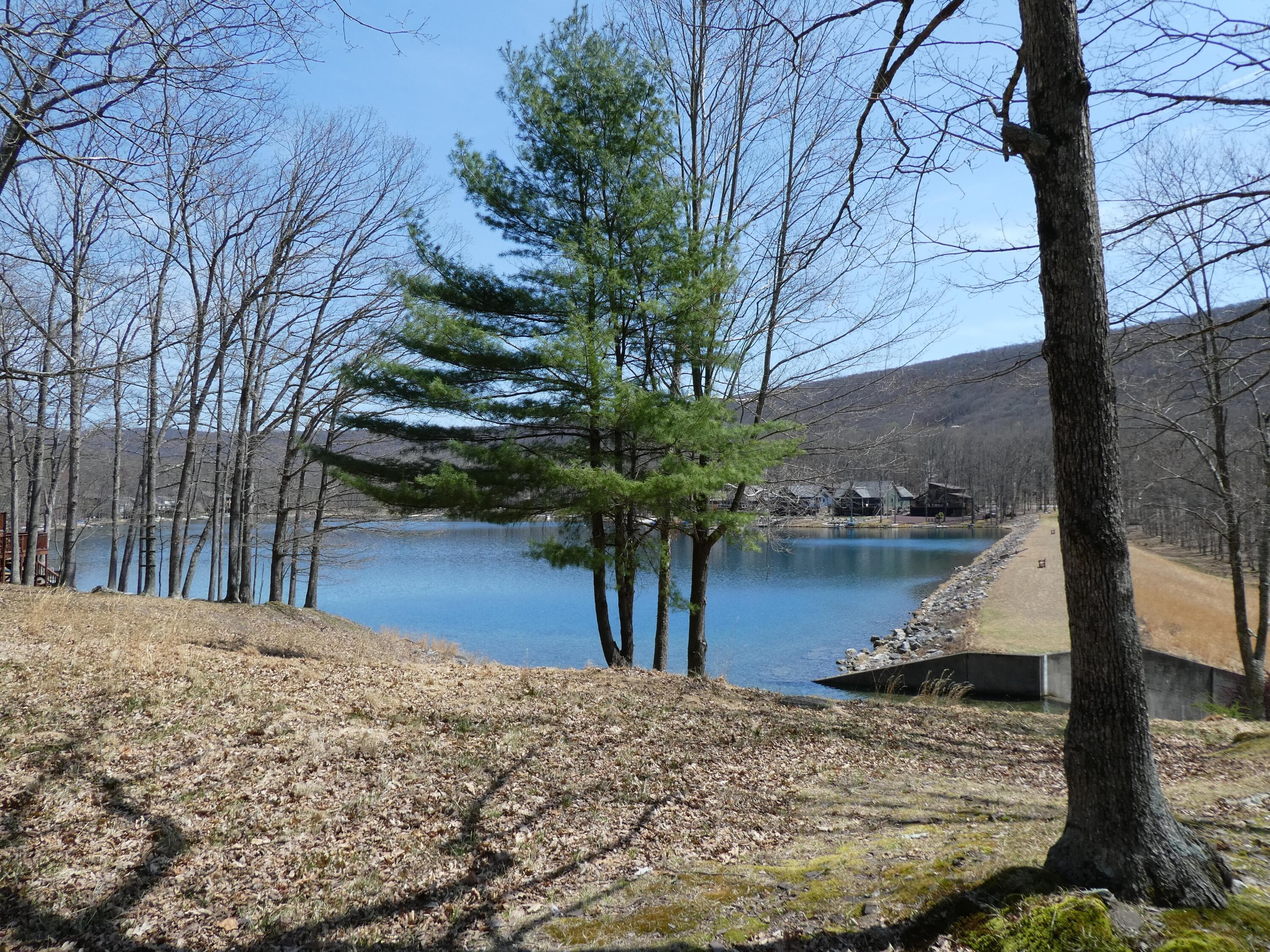 Lake Susquehanna - 8 Kickapoo Drive, Hazle Township, PA 18202, Hazle Township