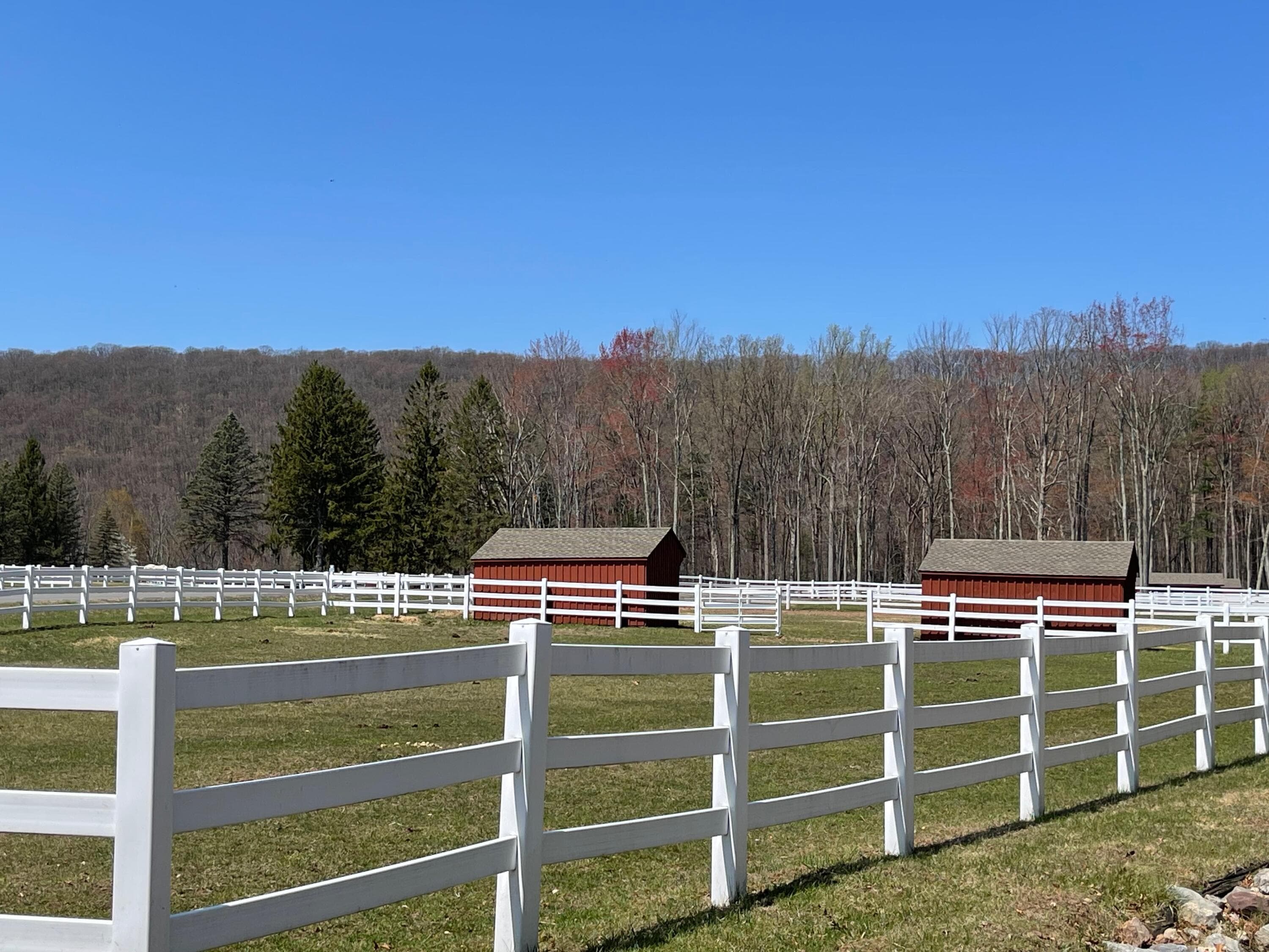 IMG_8182 - 8 Kickapoo Drive, Hazle Township, PA 18202, Hazle Township