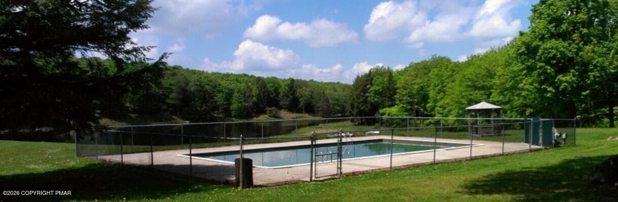 Skyview Lake Pool - 150 Mountain Drive, Greentown, PA 18426, Greentown