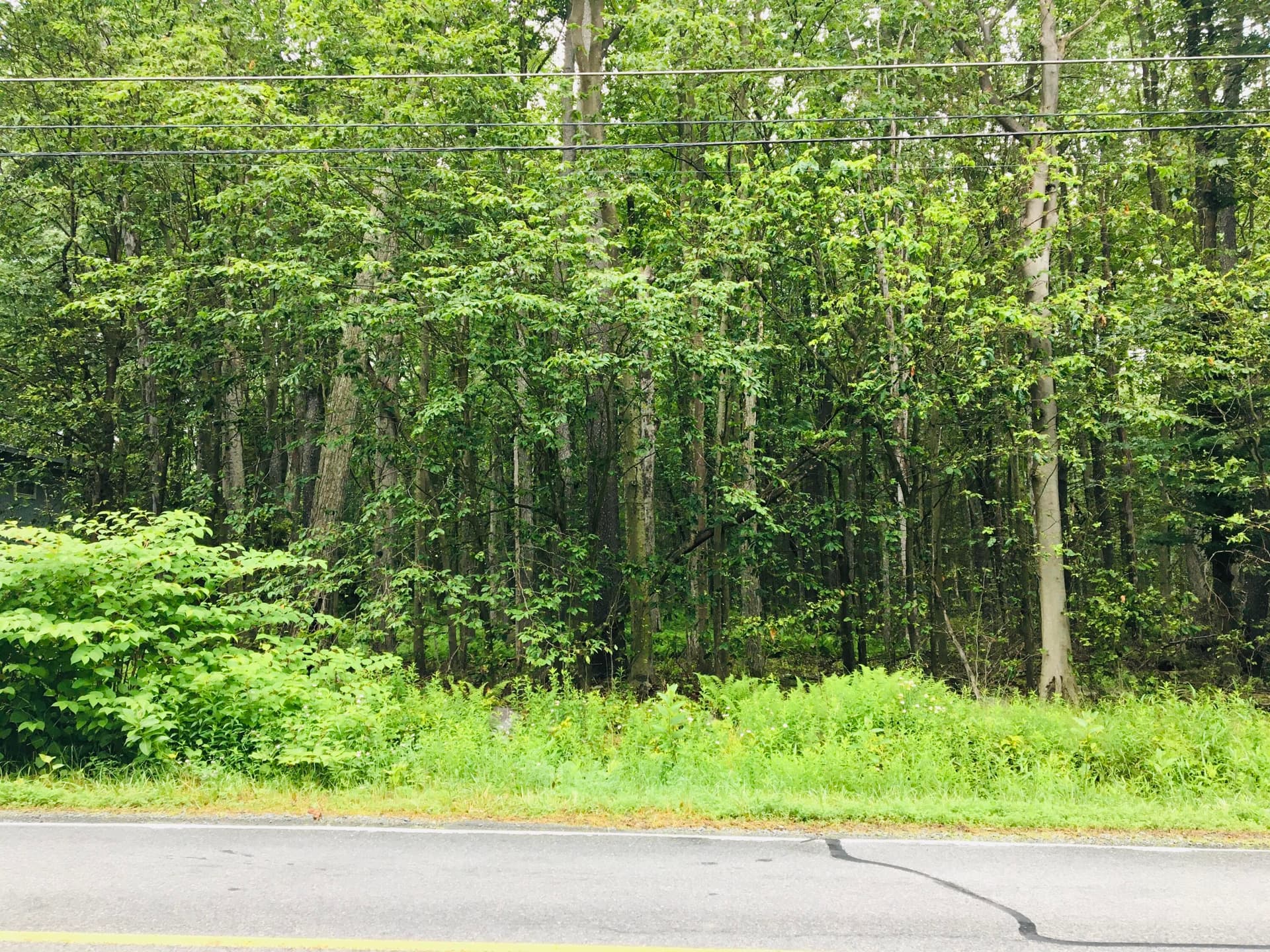 IMG_1371 - 40 Gross Drive, Pocono Pines, PA 18350