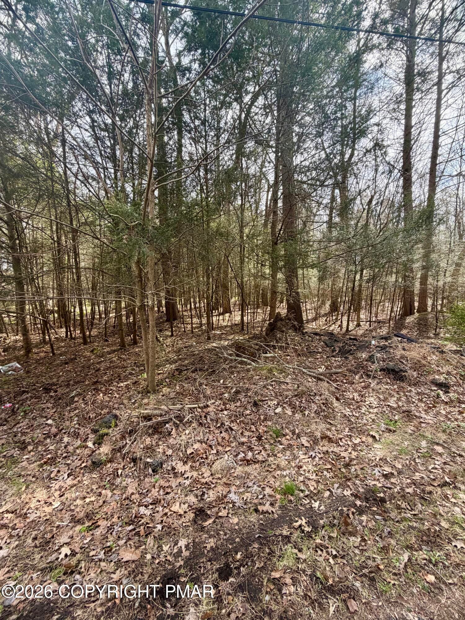 IMG_9886 - Pleasant View Dr C Drive, Kunkletown, PA 18058, Kunkletown