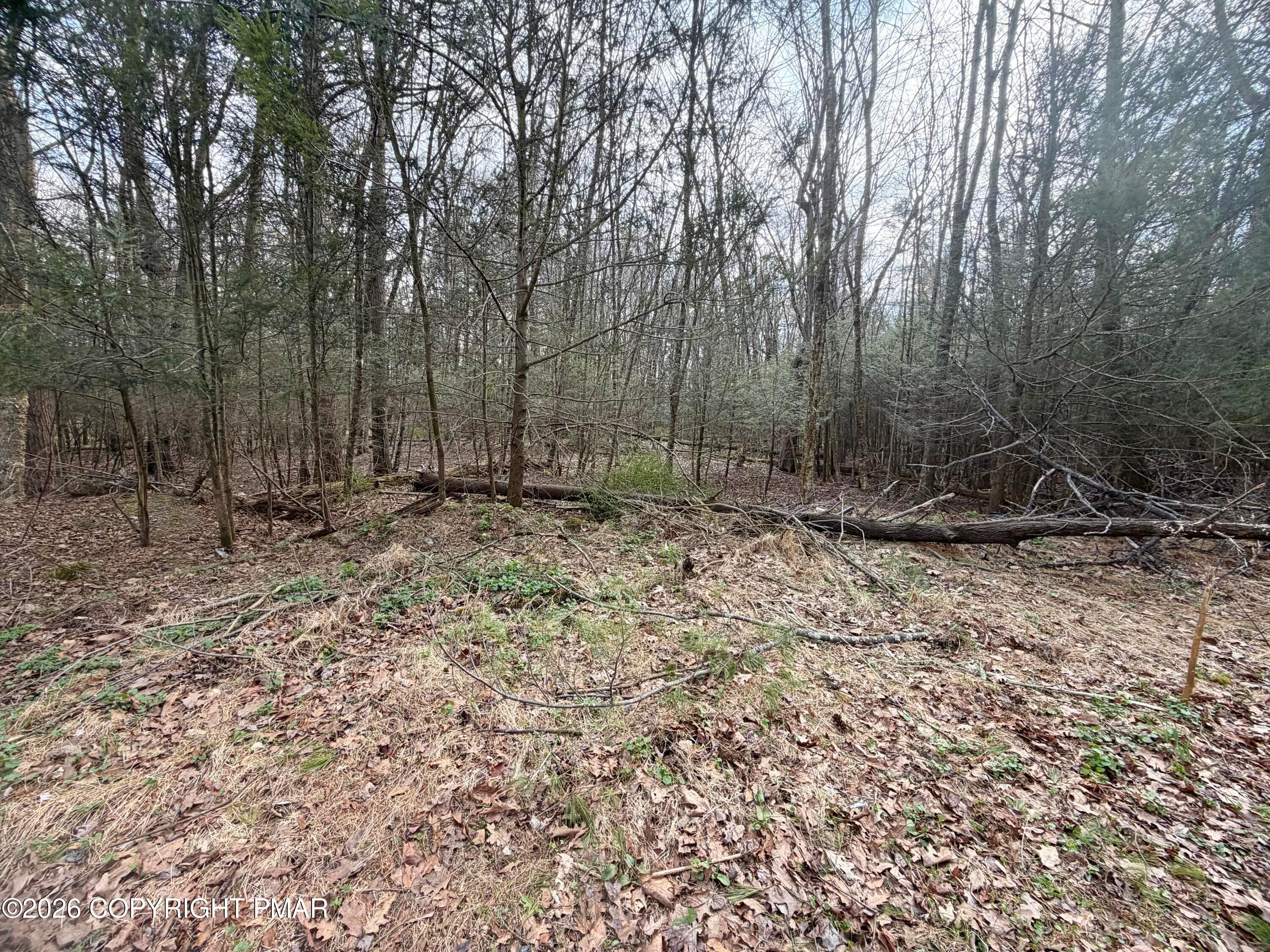 IMG_9889 - Pleasant View Dr C Drive, Kunkletown, PA 18058, Kunkletown