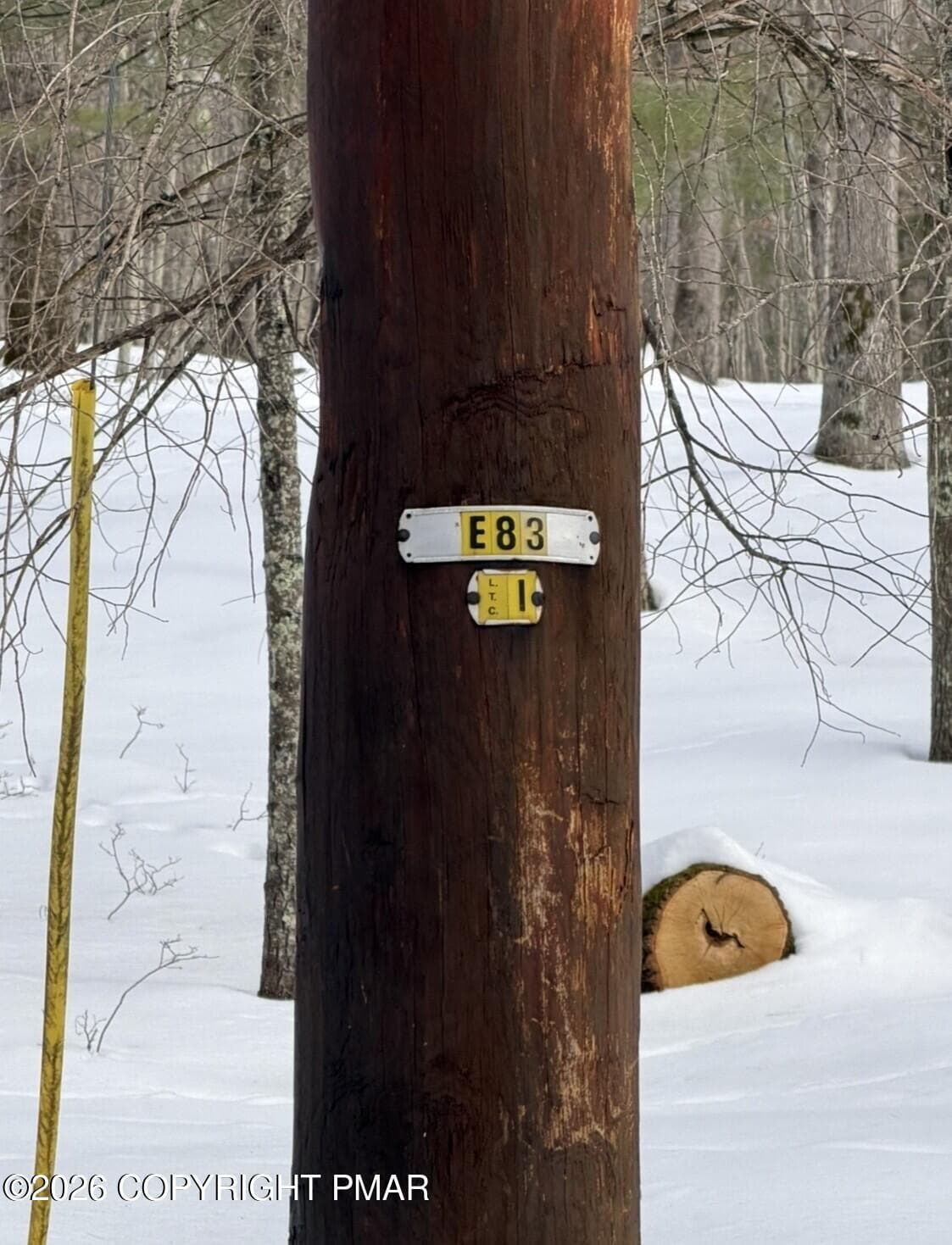 Woodledge pole2.1 - 130 Juneberry Drive, Hawley, PA 18428, Hawley
