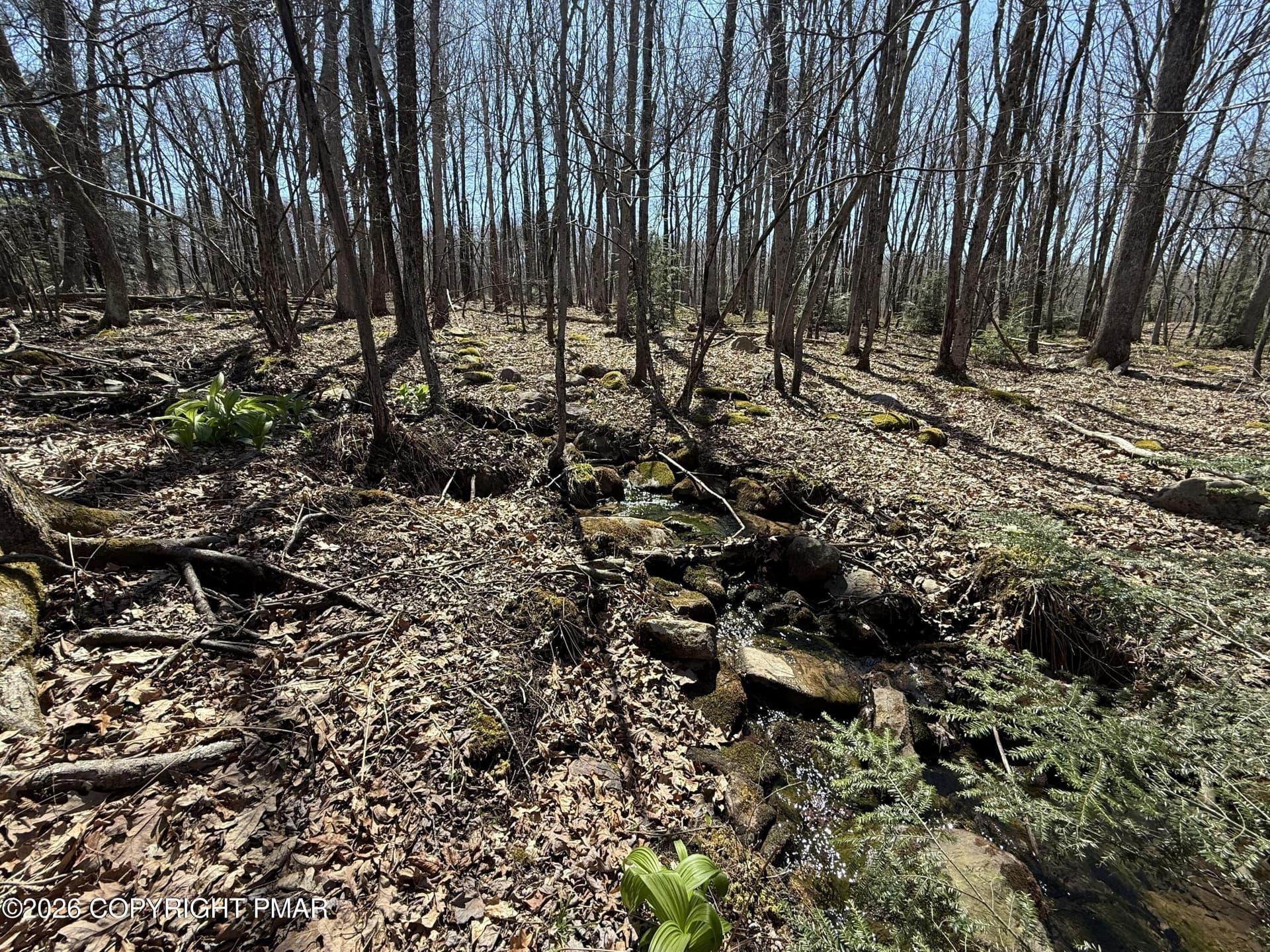 Brook Lot - G556 Drakes Drive, Jim Thorpe, PA 18229