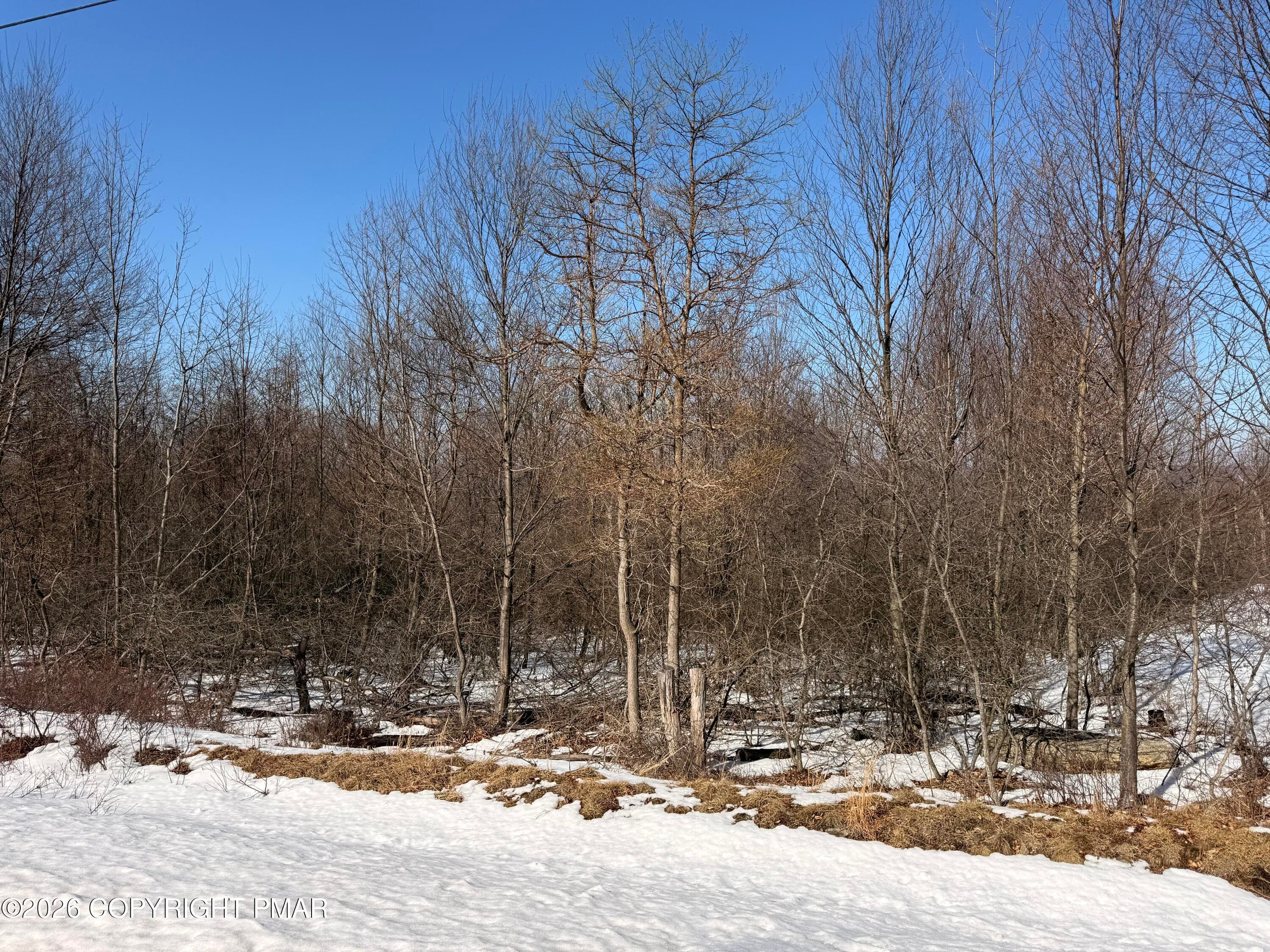 IMG_8511 - Buttonbush Lane, Hazle Township, PA 18202, Hazle Township