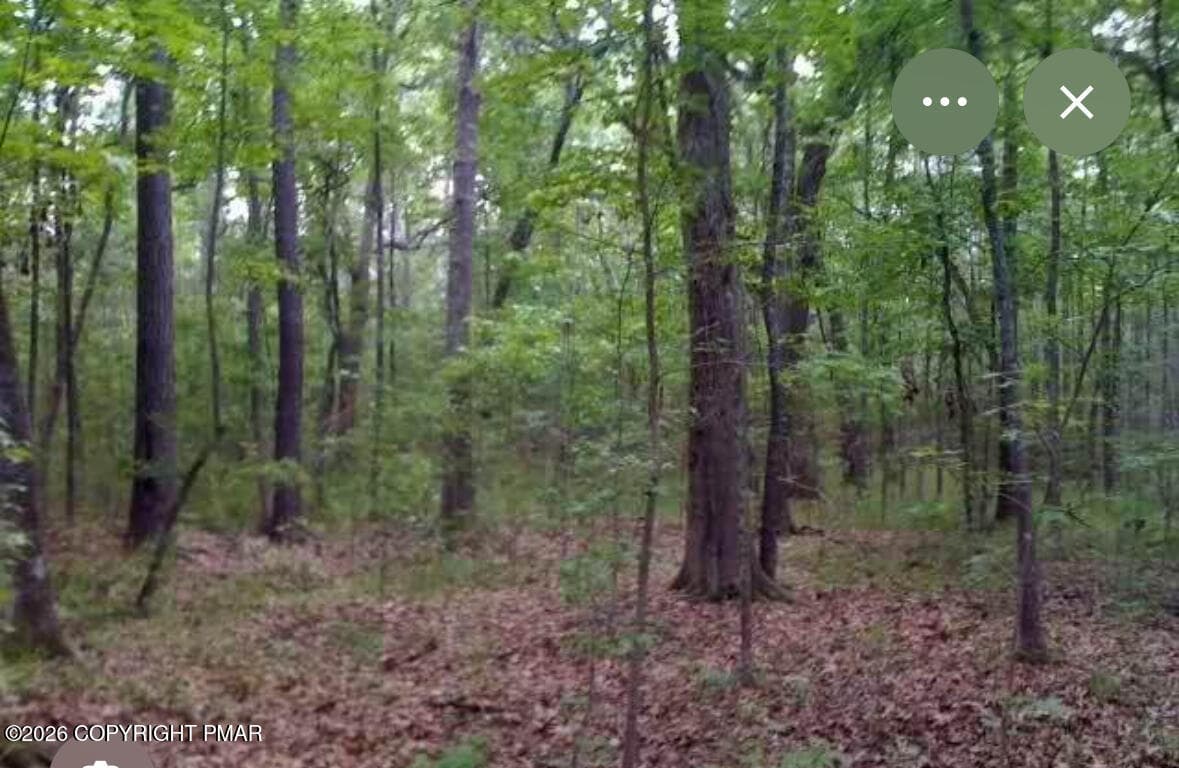 Fawn Road, Hawley, PA 18428