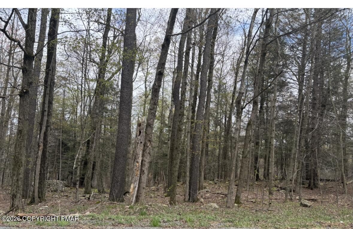 Chipmunk Trail, Hawley, PA 18428