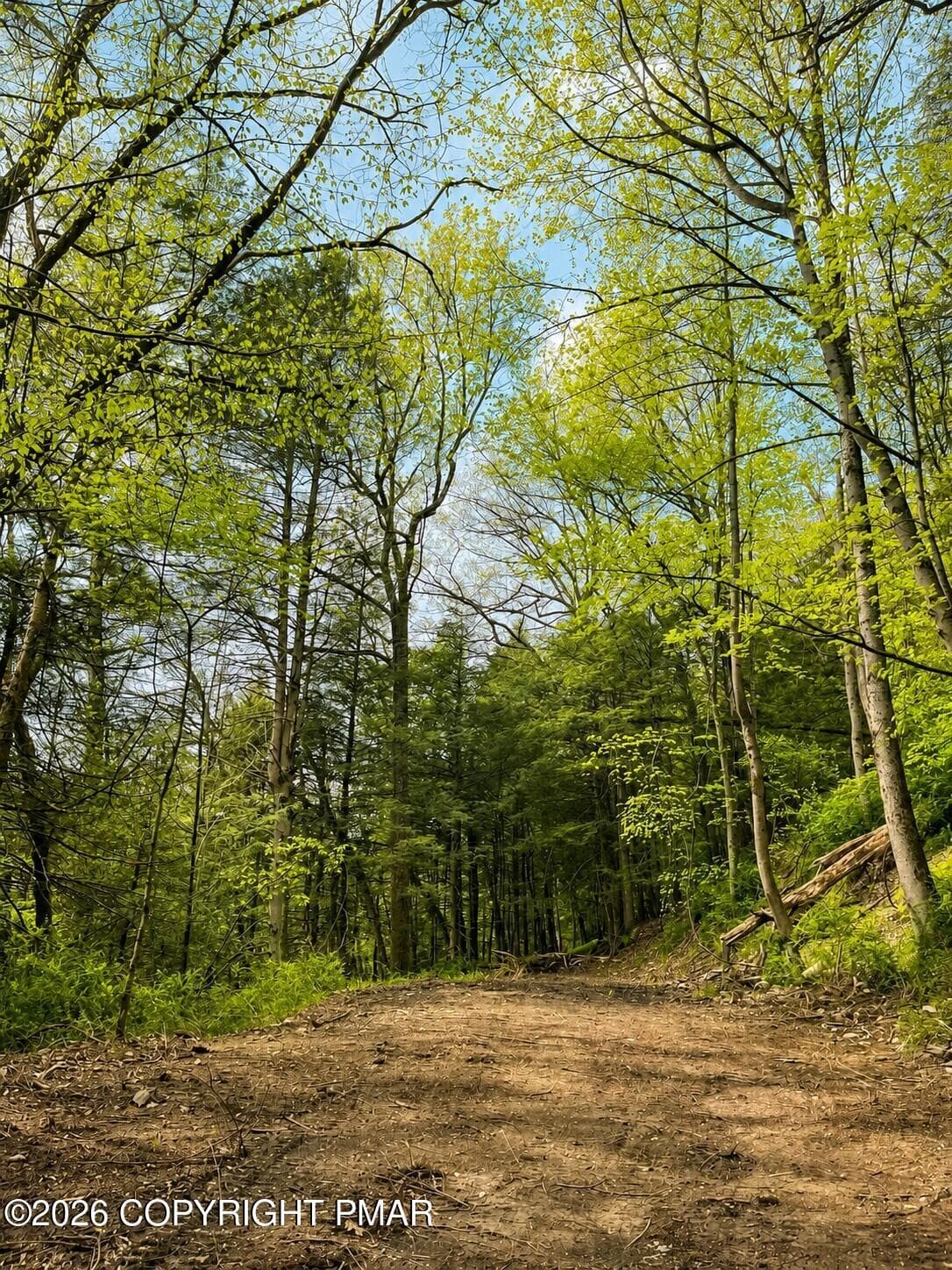 Lot - LR 45052 Lower Smith Gap Road, Kunkletown, PA 18058, Kunkletown