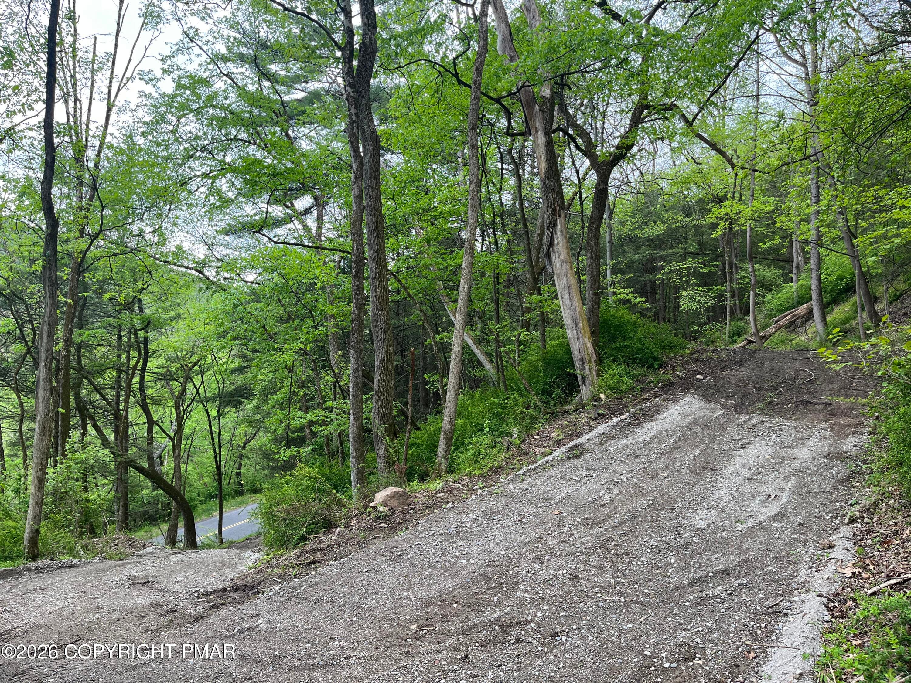 Driveway - LR 45052 Lower Smith Gap Road, Kunkletown, PA 18058, Kunkletown