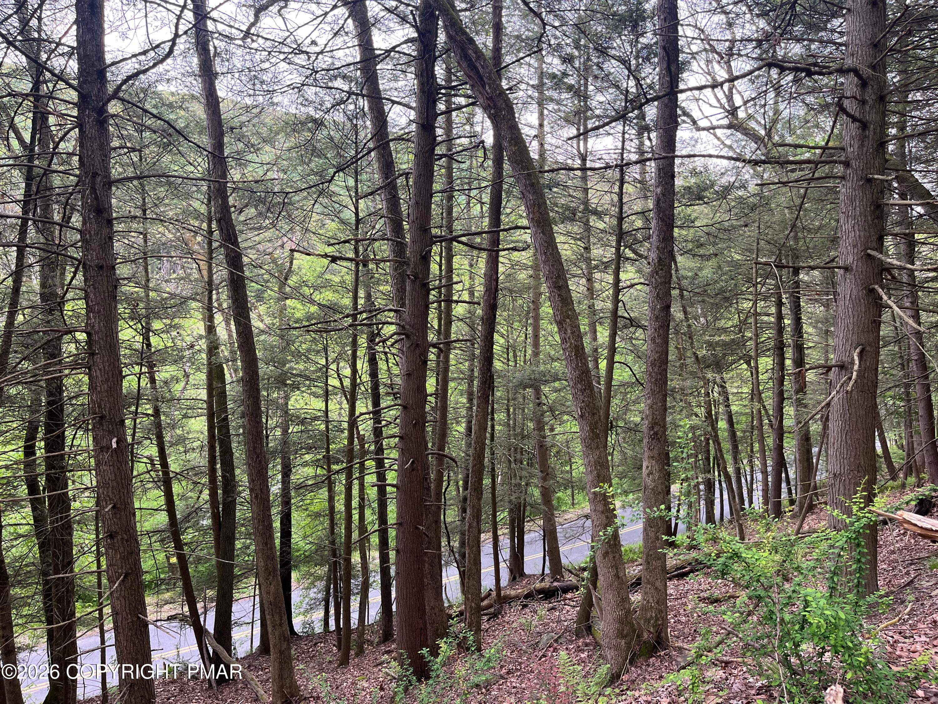 View - LR 45052 Lower Smith Gap Road, Kunkletown, PA 18058, Kunkletown