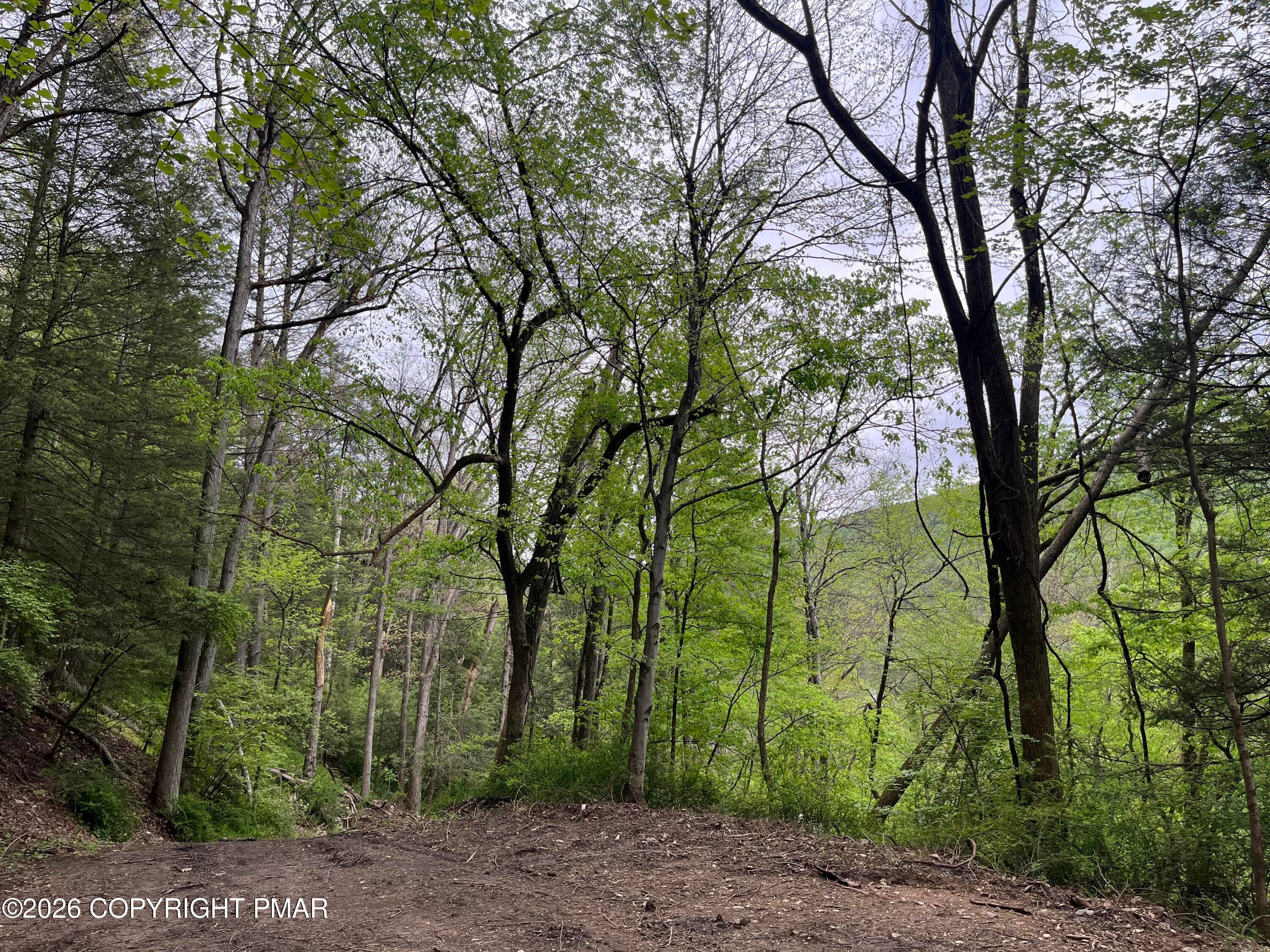 Lot - LR 45052 Lower Smith Gap Road, Kunkletown, PA 18058, Kunkletown