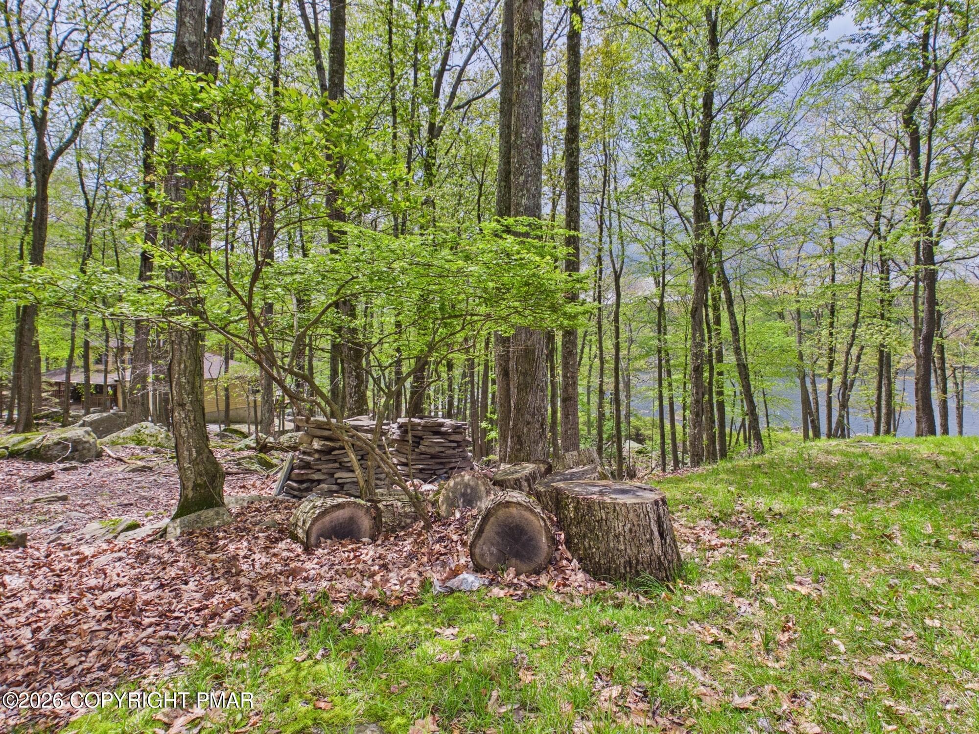 CAM06255G6-PR0031-STILL028 - 69 E Shore Drive, Hawley, PA 18428, Hawley