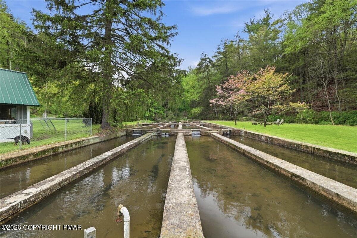 Fish Races - 3585 Fairyland Road, Lehighton, PA 18235