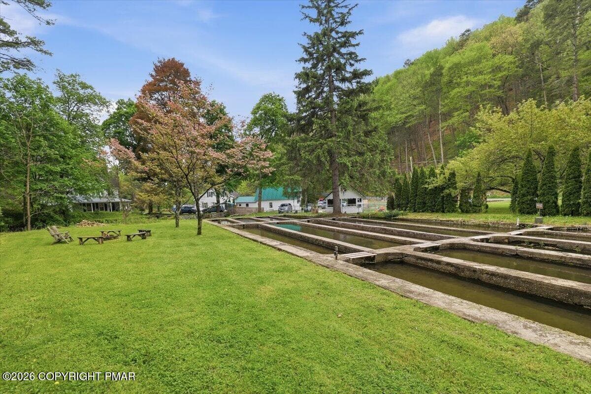 Front yard with fish races - 3585 Fairyland Road, Lehighton, PA 18235, Lehighton